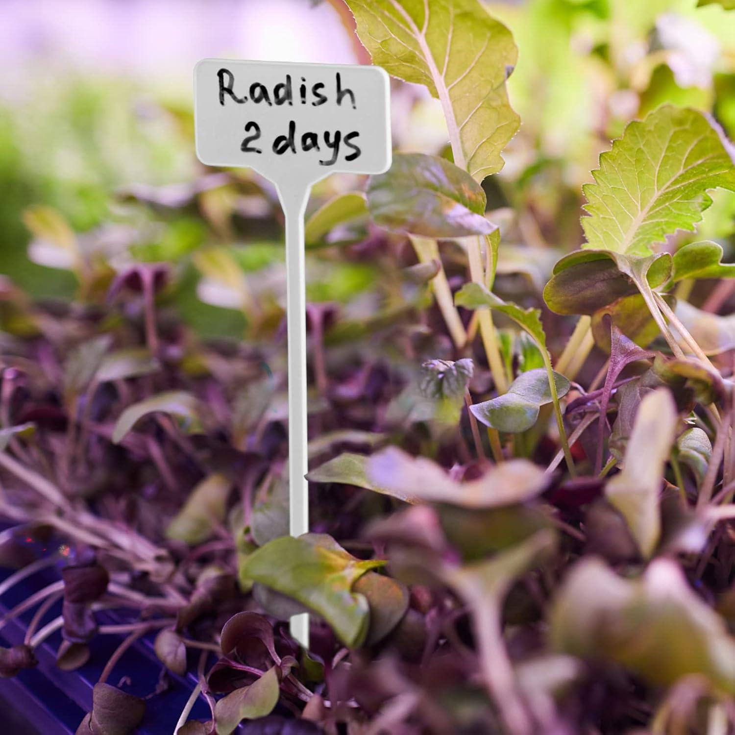 Etiquetas de Jardín Impermeables GUFJUCH 50pcs 28cm Blancas