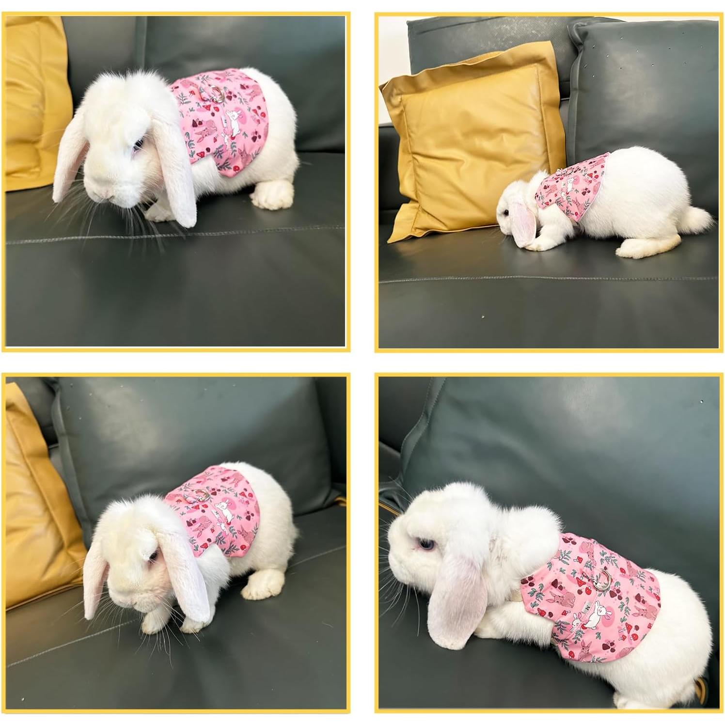 Conjunto Arnés y Correa Wallspet para Conejos y Mascotas Pequeñas