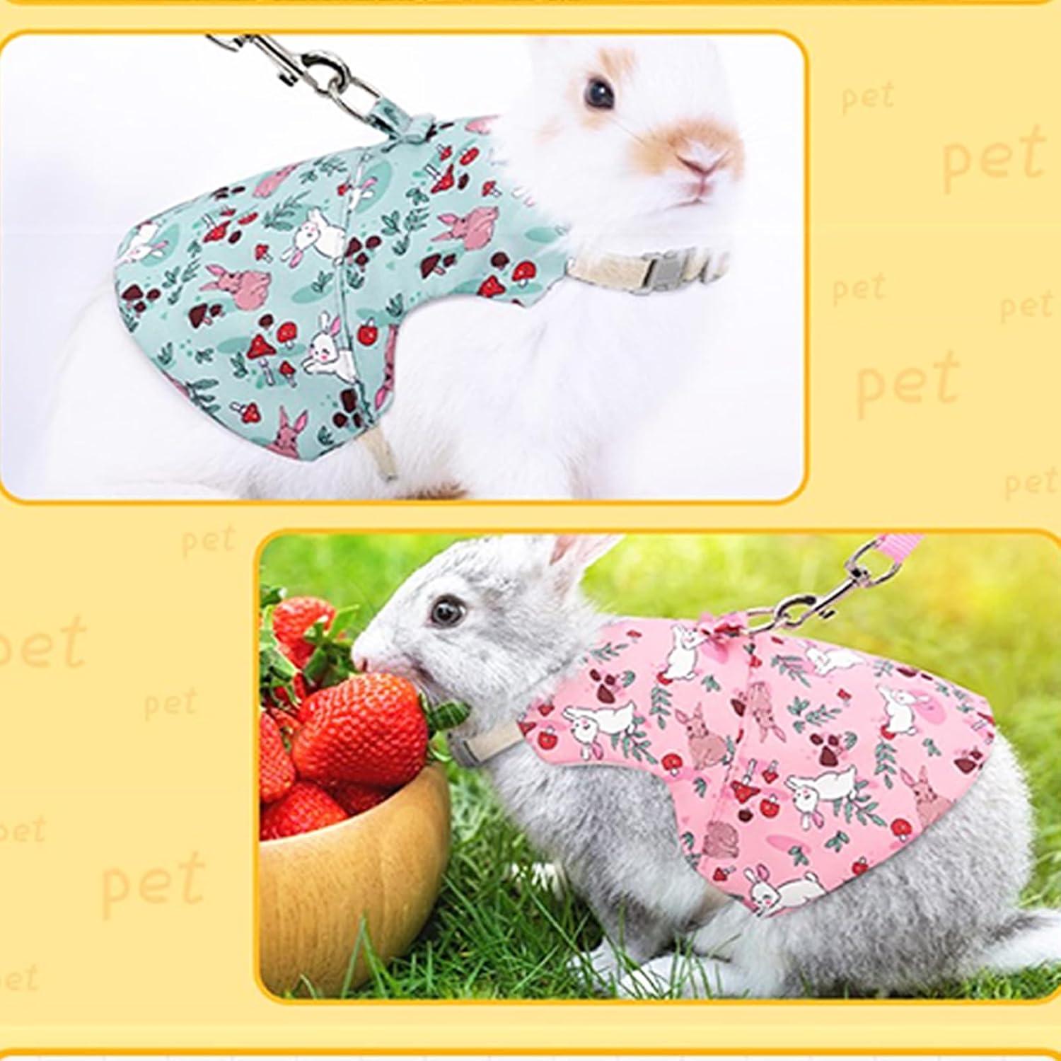 Conjunto Arnés y Correa Wallspet para Conejos y Mascotas Pequeñas