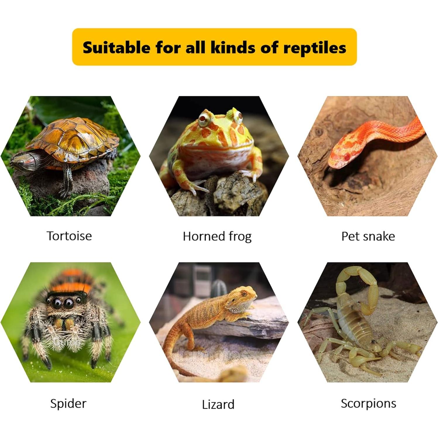 Plataforma de Sol para Tortugas Kathson 17x8.5 cm Rampa Escalada