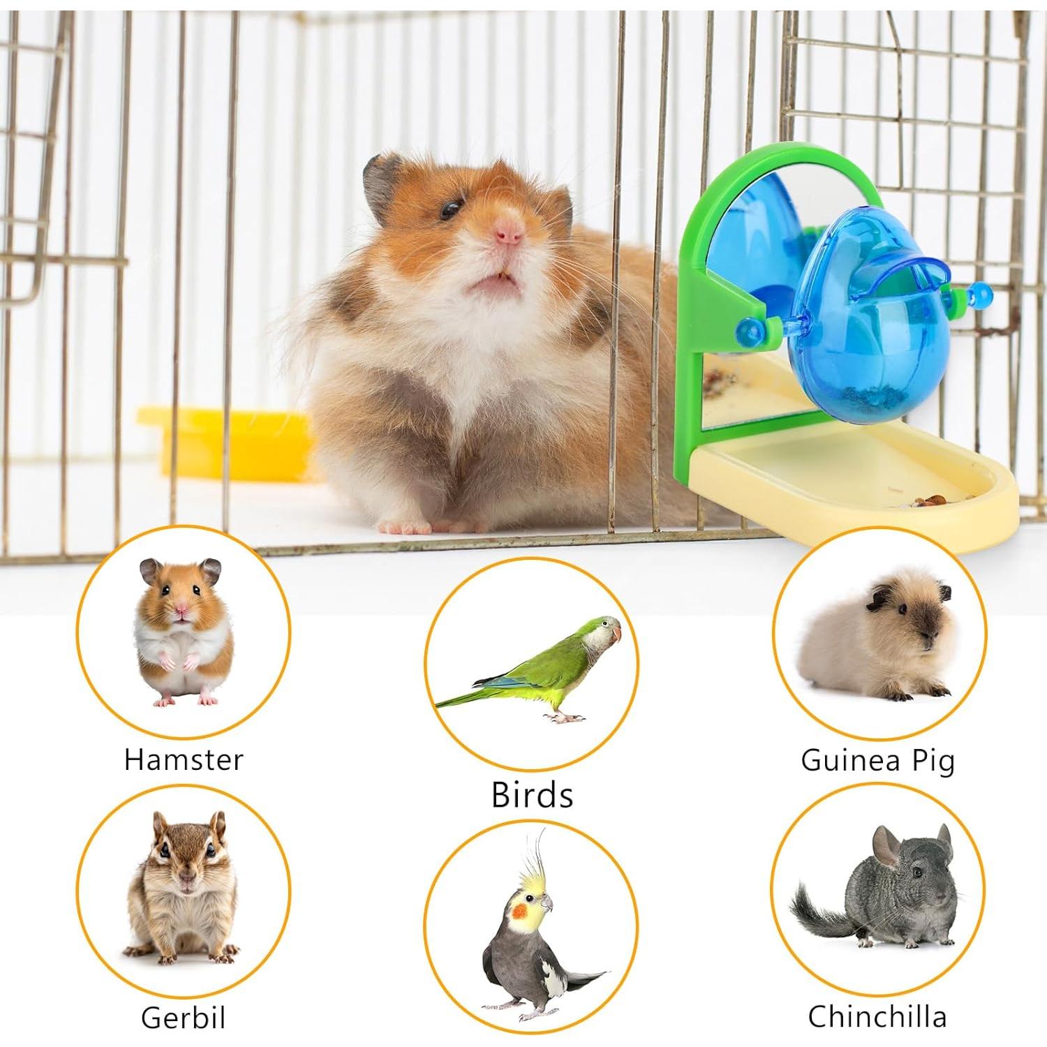 Juguete de Forrajeo para Ratas Aiieim - Enriquecimiento Inteligente