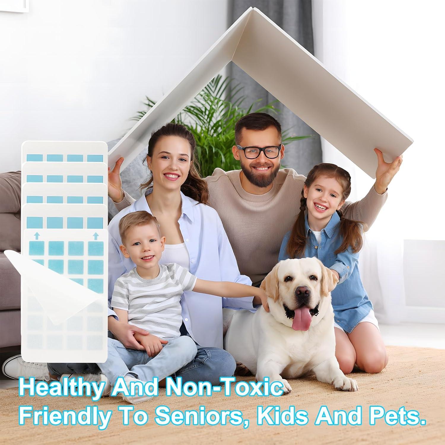 5 Recargas Tarjetas Adhesivas PESTCON para Trampa Insectos