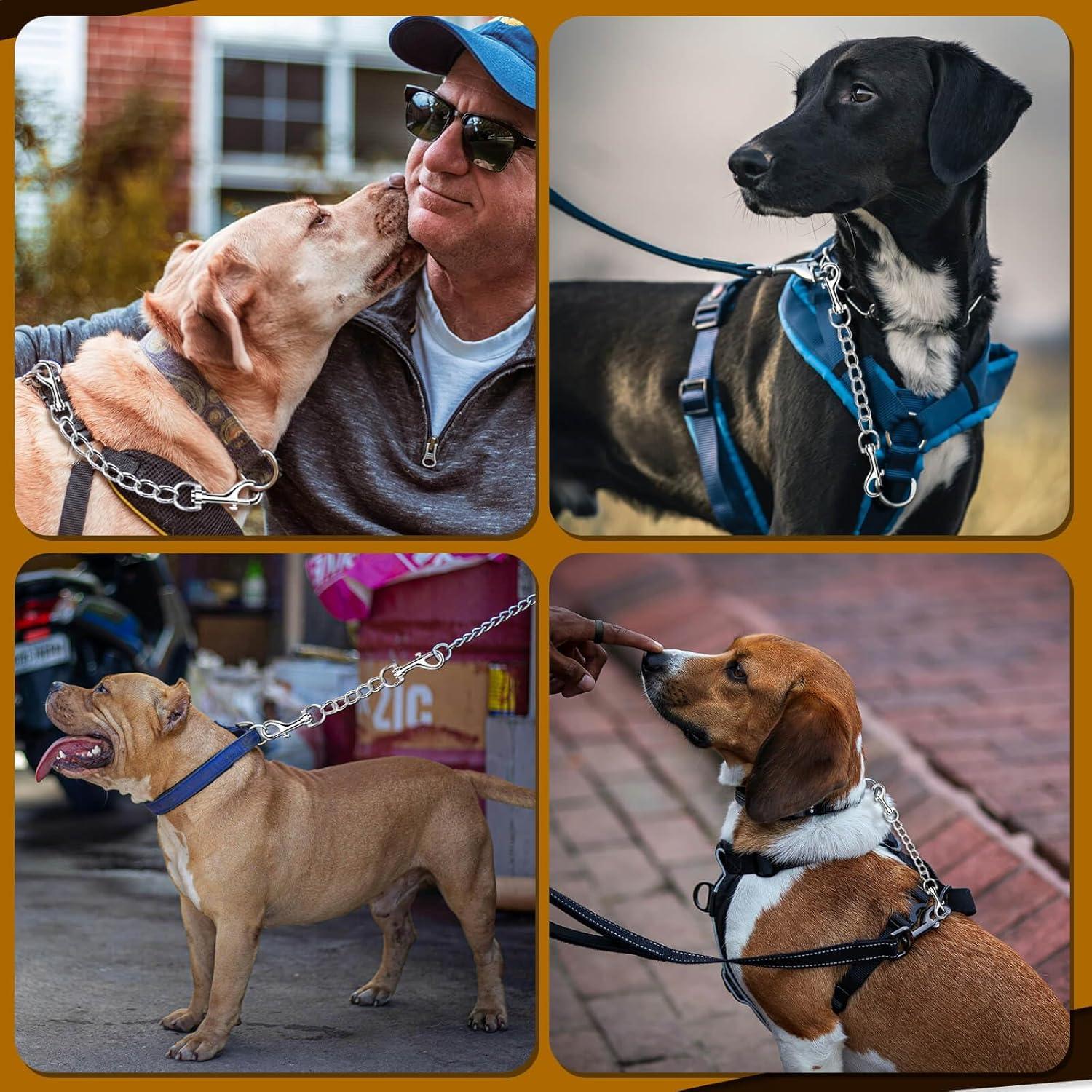 Clip de Seguridad para Perro HONGSAGE - Acero Inoxidable 20.32 cm