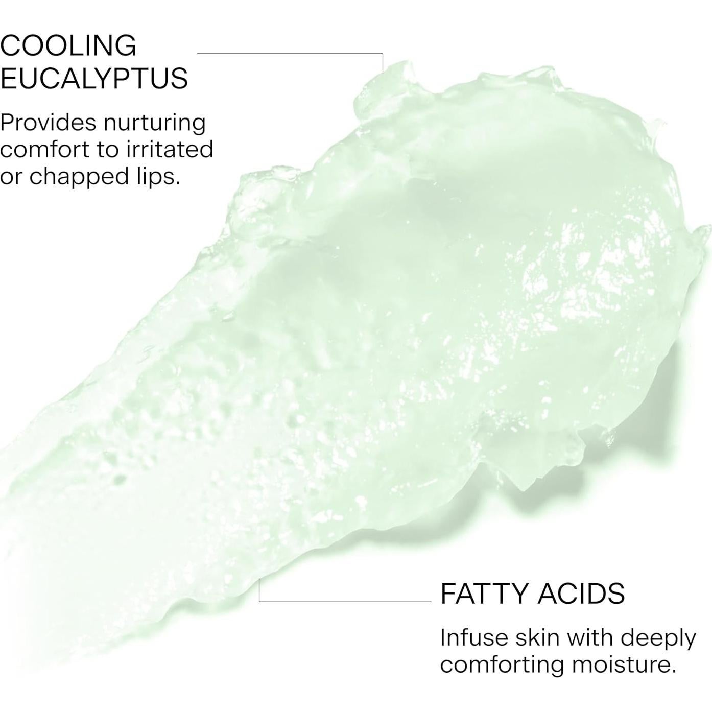 Mascarilla Labial Nocturna FEMMUE Frescura de Menta 150g