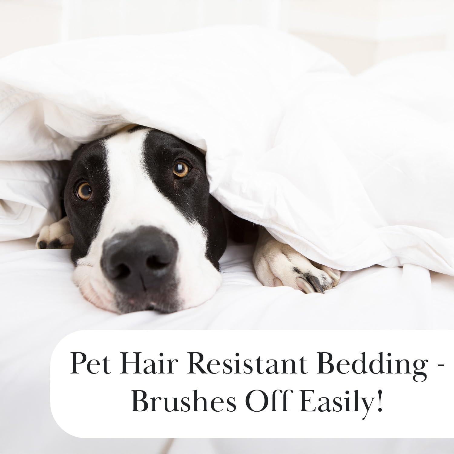 Juego de Sábanas Queen 4 Piezas Southshore Microfibra Azul