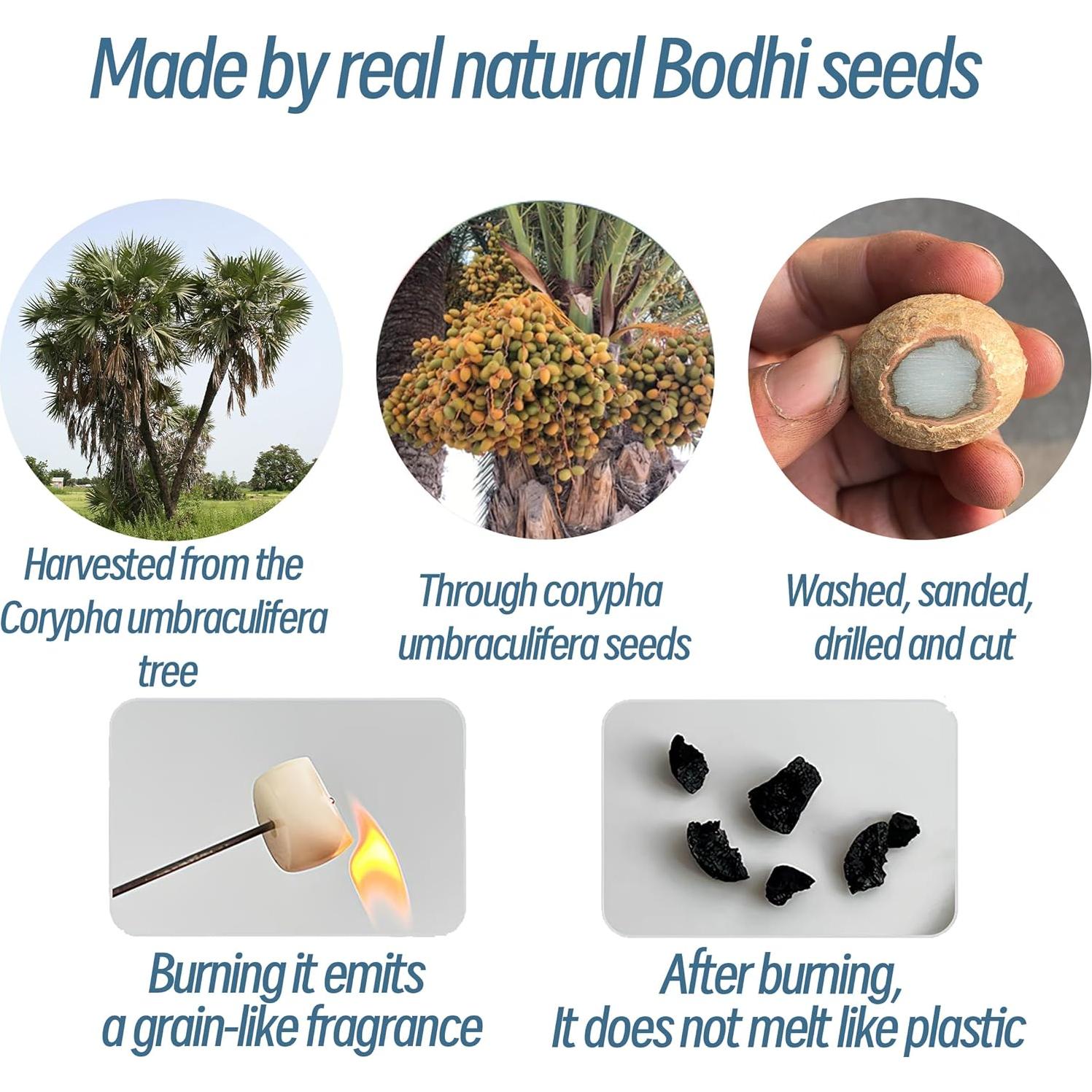 Pulsera de Cuentas de Semillas de Bodhi ZEZUT Zen 10cm