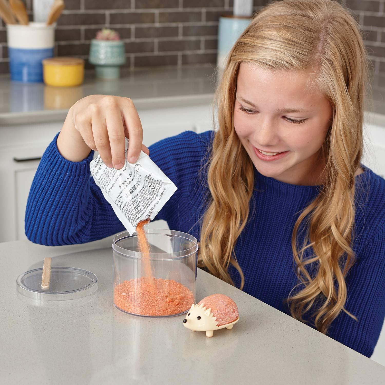 Kits de Crecimiento de Cristales MindWare - 2 Erizos Coloridos