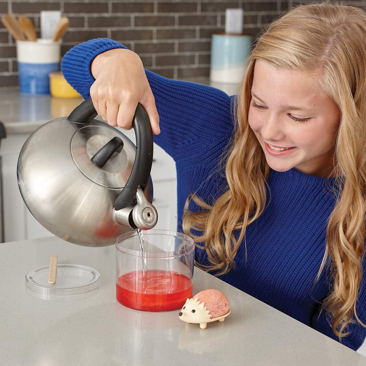 Kits de Crecimiento de Cristales MindWare - 2 Erizos Coloridos