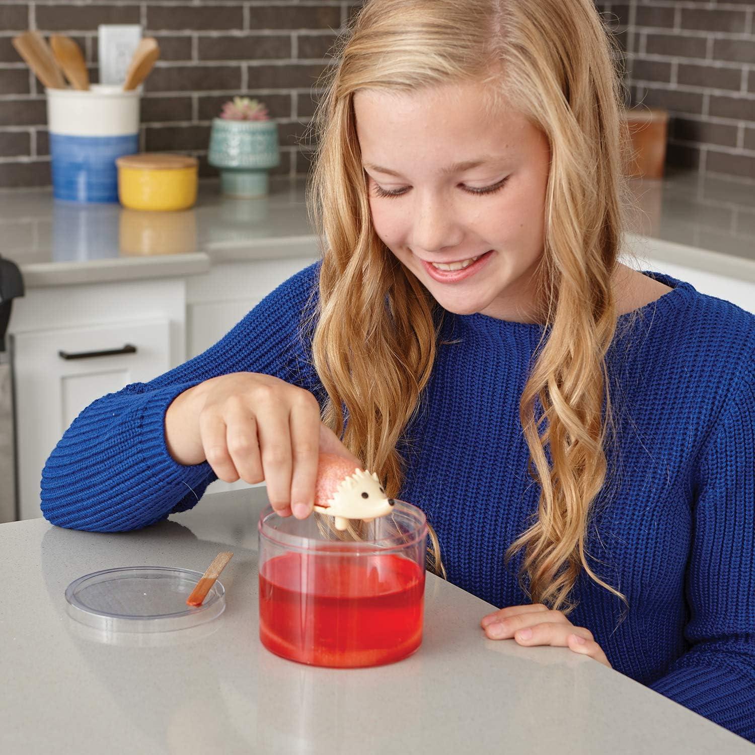 Kits de Crecimiento de Cristales MindWare - 2 Erizos Coloridos