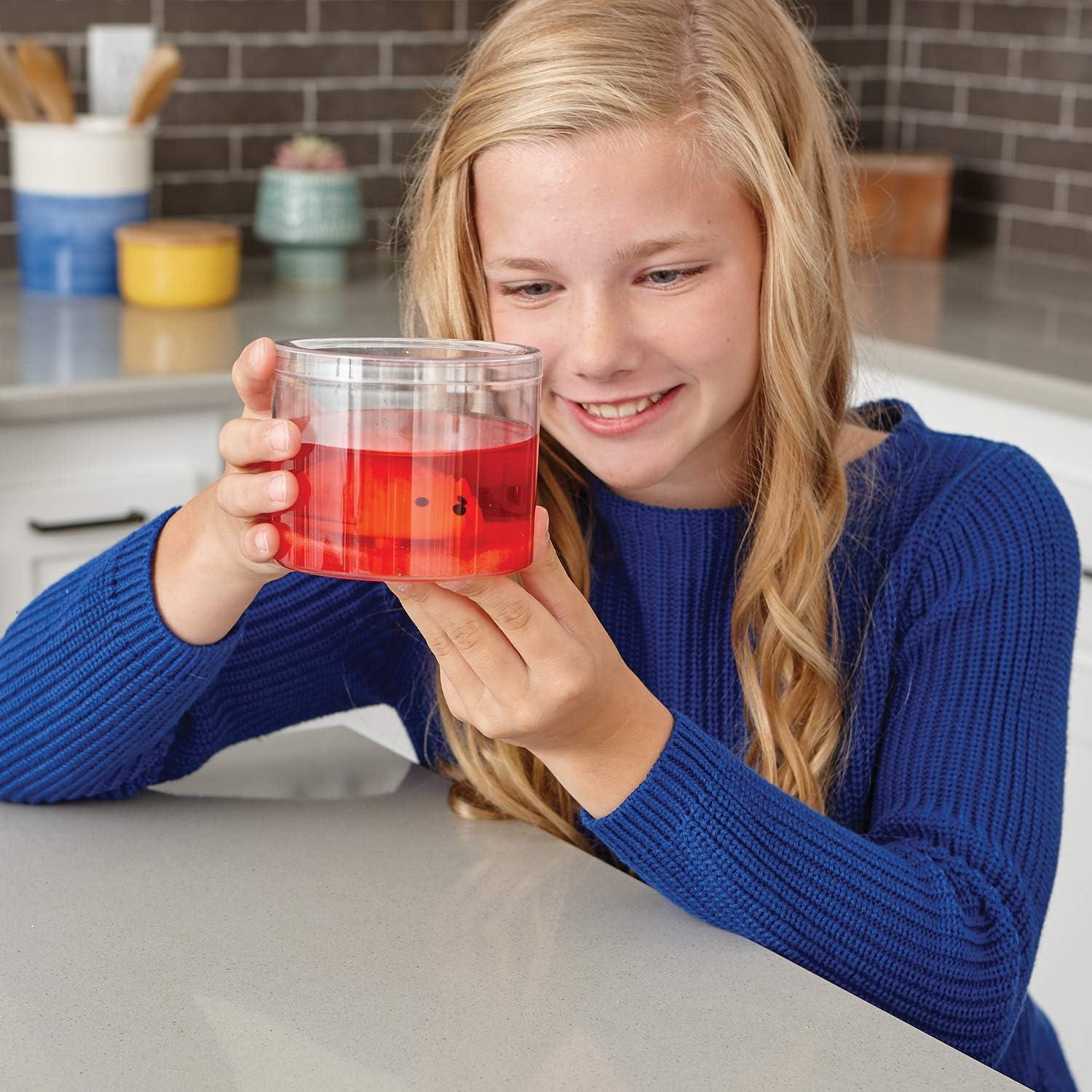 Kits de Crecimiento de Cristales MindWare - 2 Erizos Coloridos