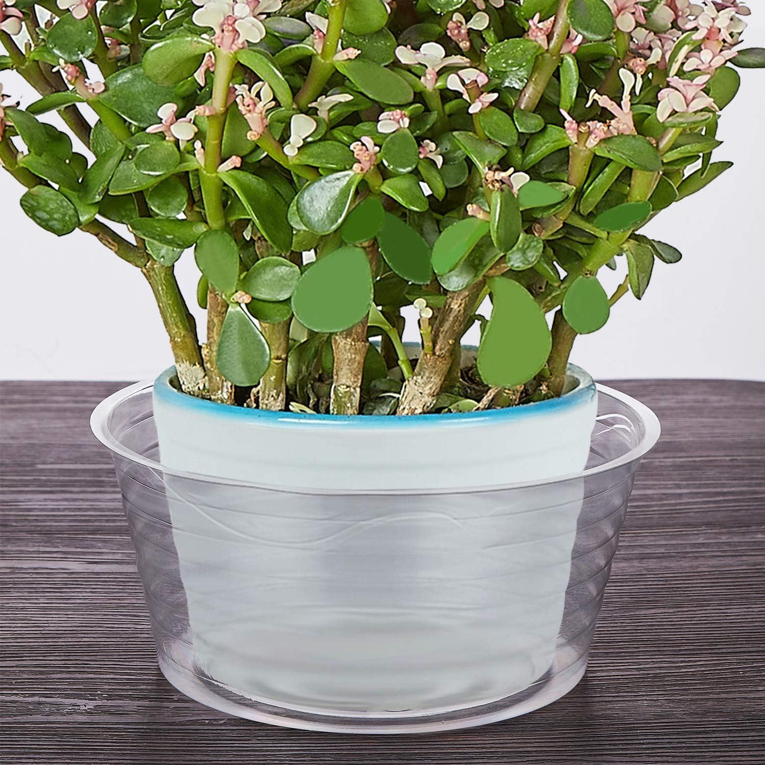 Plato de Goteo Idyllize 10 Piezas 10.4 cm Plástico Claro