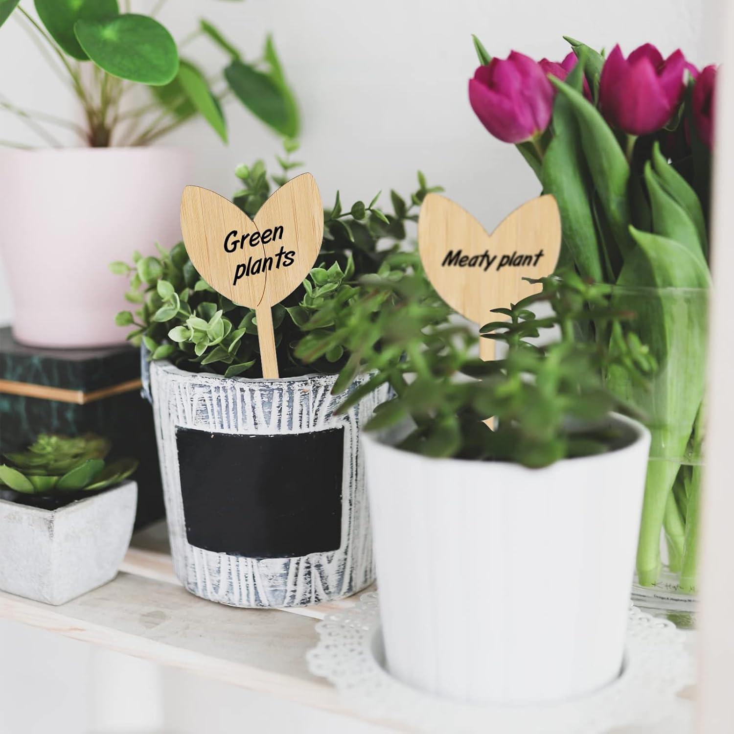 Etiquetas de Jardín de Bambú Kinglake 60 Pcs con Bolígrafo