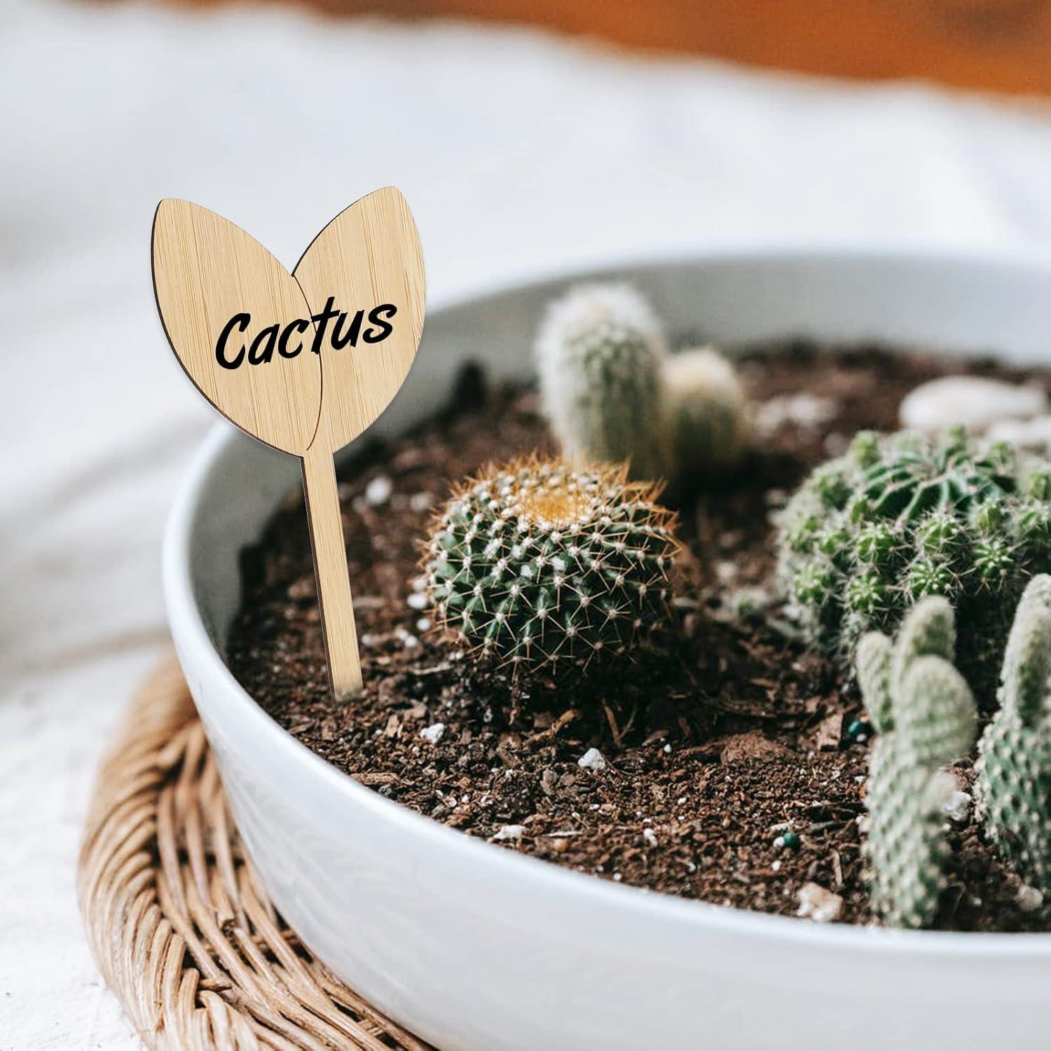 Etiquetas de Jardín de Bambú Kinglake 60 Pcs con Bolígrafo