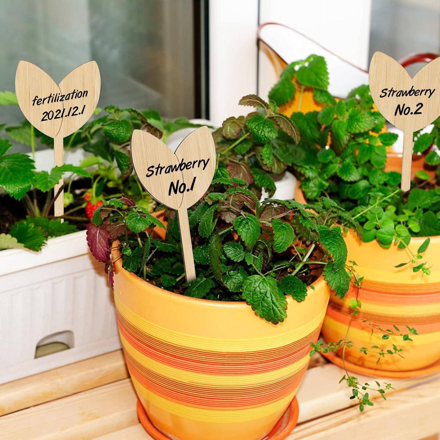 Etiquetas de Jardín de Bambú Kinglake 60 Pcs con Bolígrafo