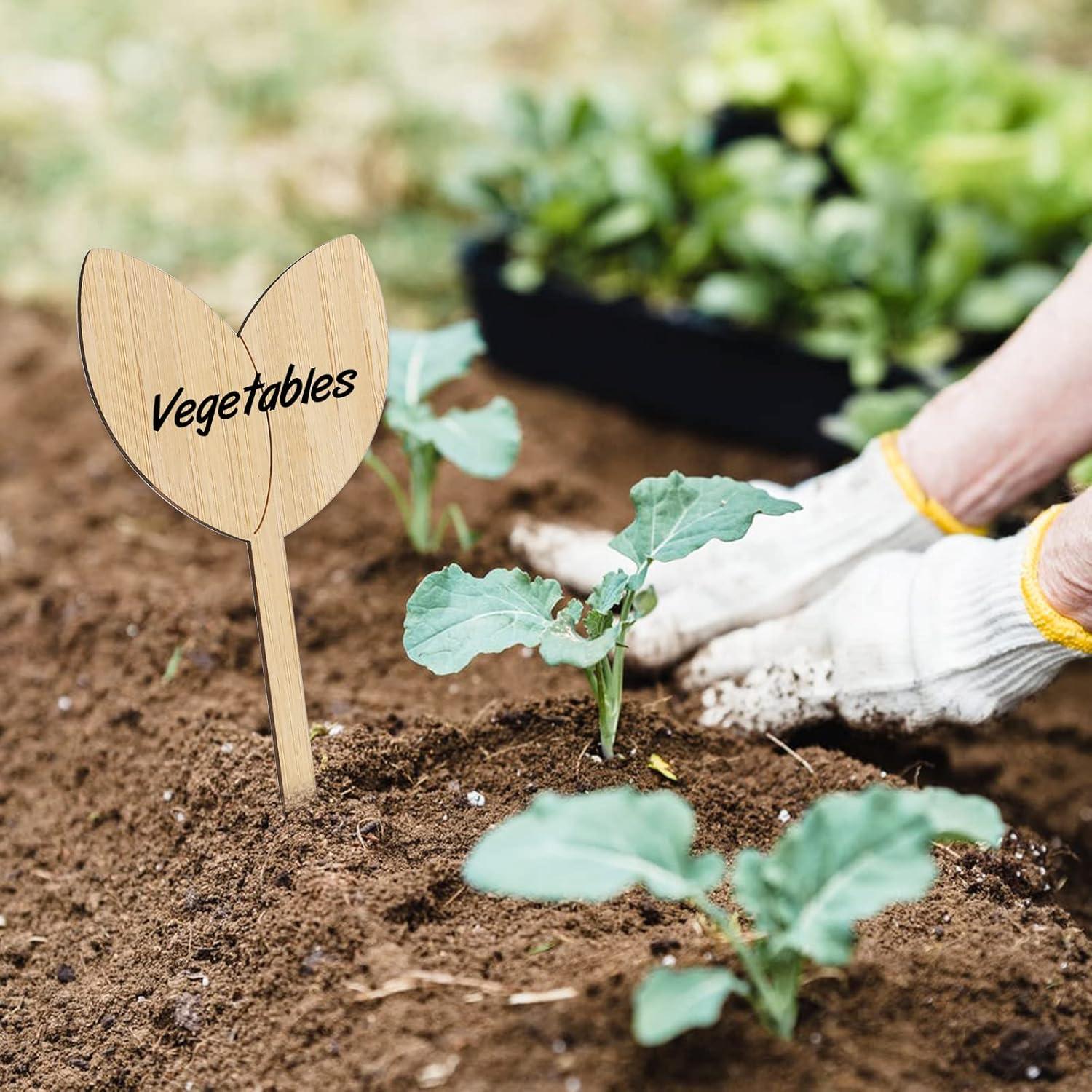 Etiquetas de Jardín de Bambú Kinglake 60 Pcs con Bolígrafo