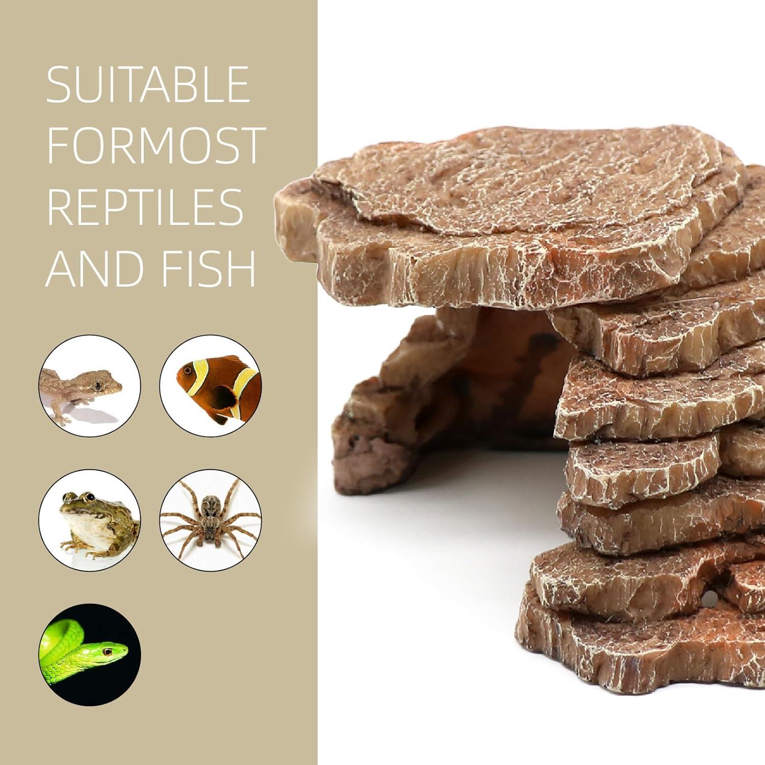 Escondite para Reptiles Relaqcc Pequeño 18.5x11.2x7.6cm