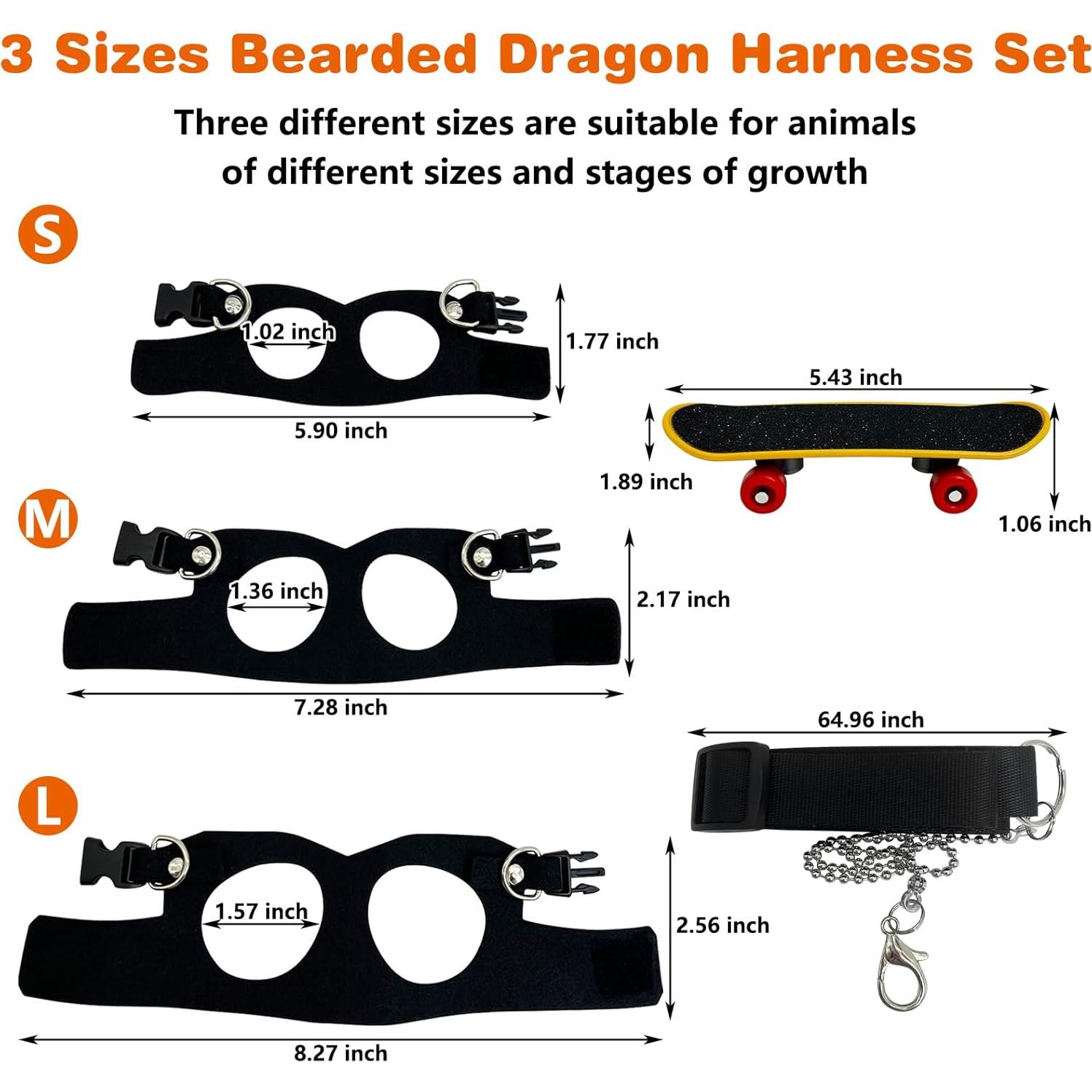 Conjunto Arnés y Correa para Dragón Barbudo PINVNBY - 3 Tamaños