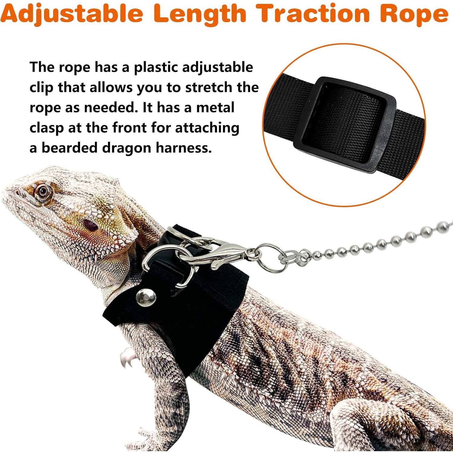 Conjunto Arnés y Correa para Dragón Barbudo PINVNBY - 3 Tamaños