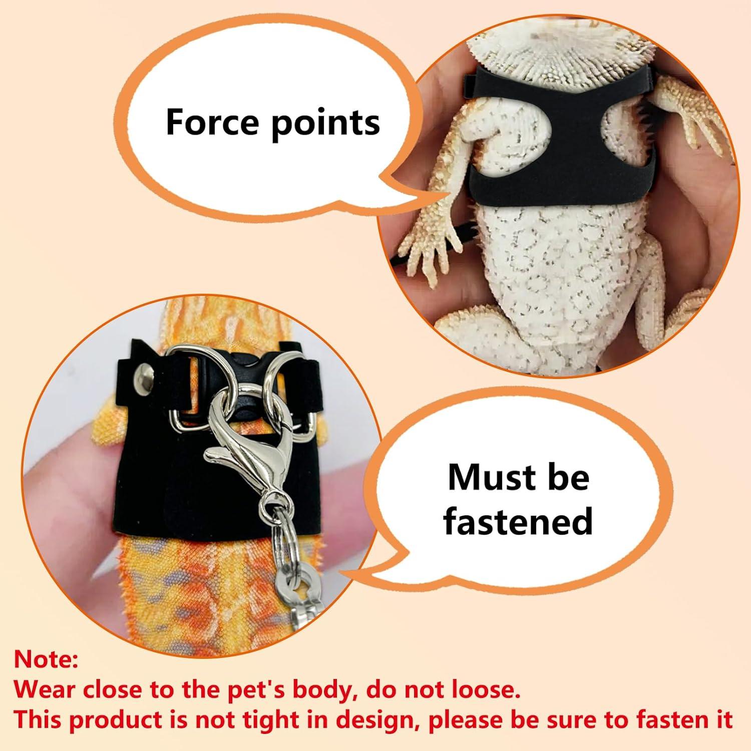 Conjunto Arnés y Correa para Dragón Barbudo PINVNBY - 3 Tamaños