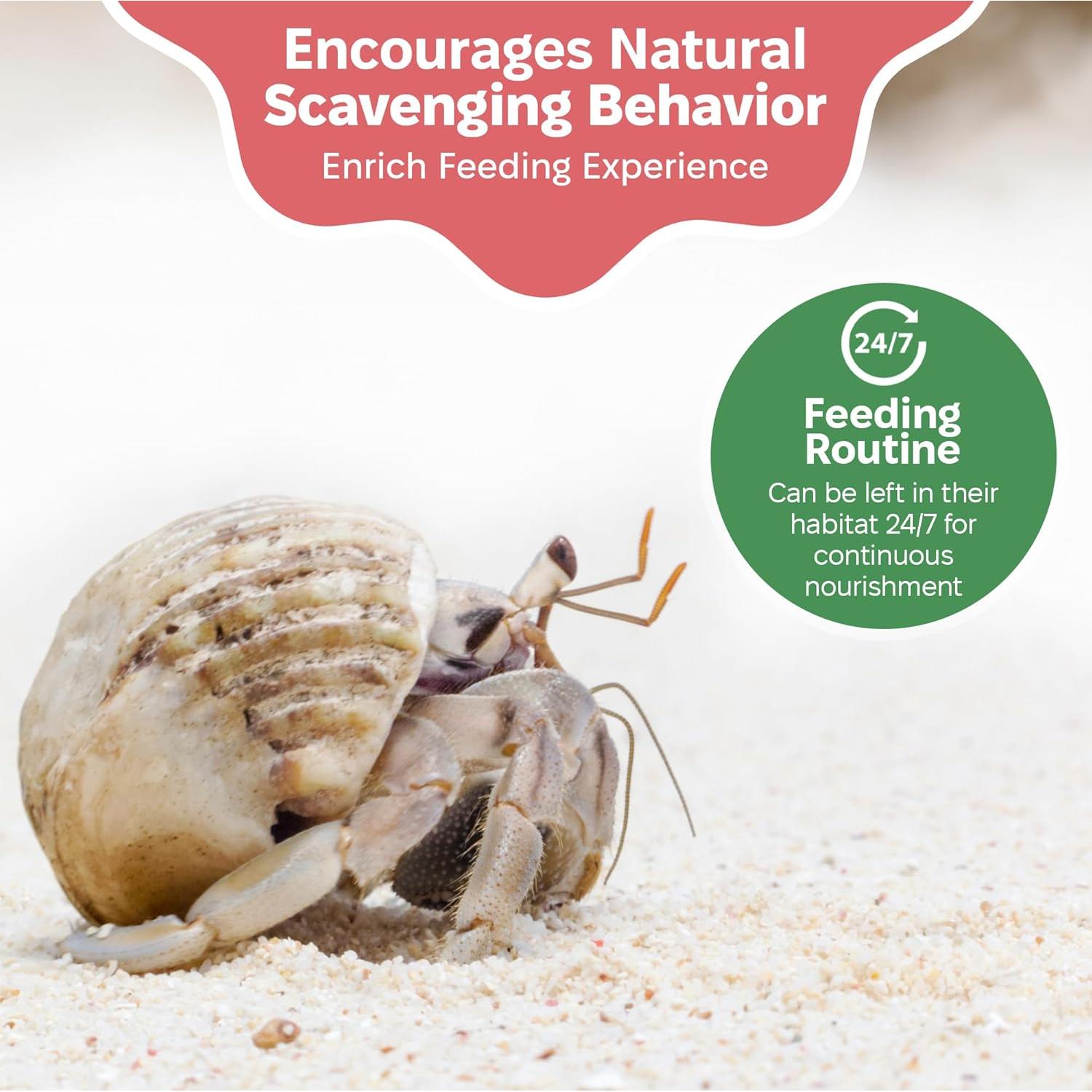 Suplemento Arena Verde Snout and Shell 85g - Calcio y Minerales