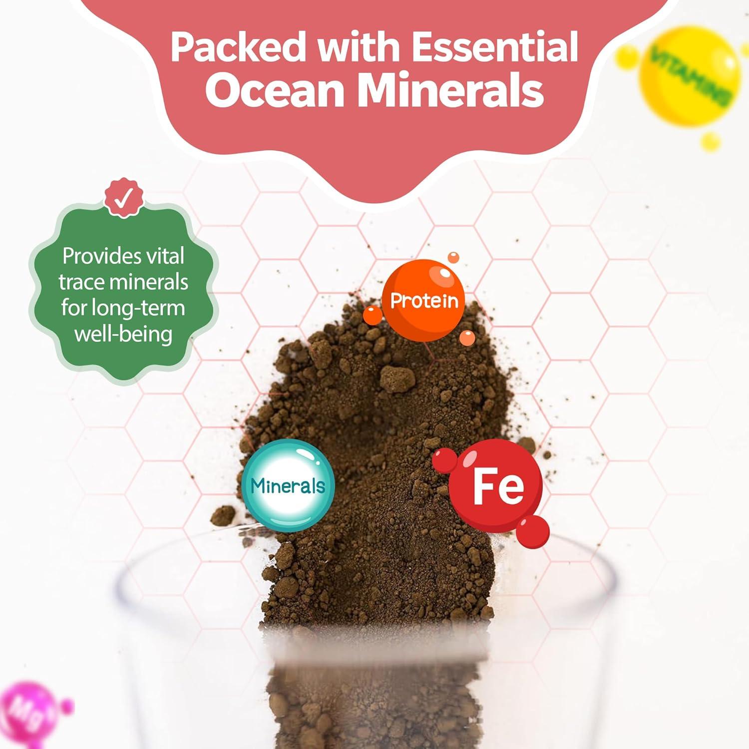 Suplemento Arena Verde Snout and Shell 85g - Calcio y Minerales