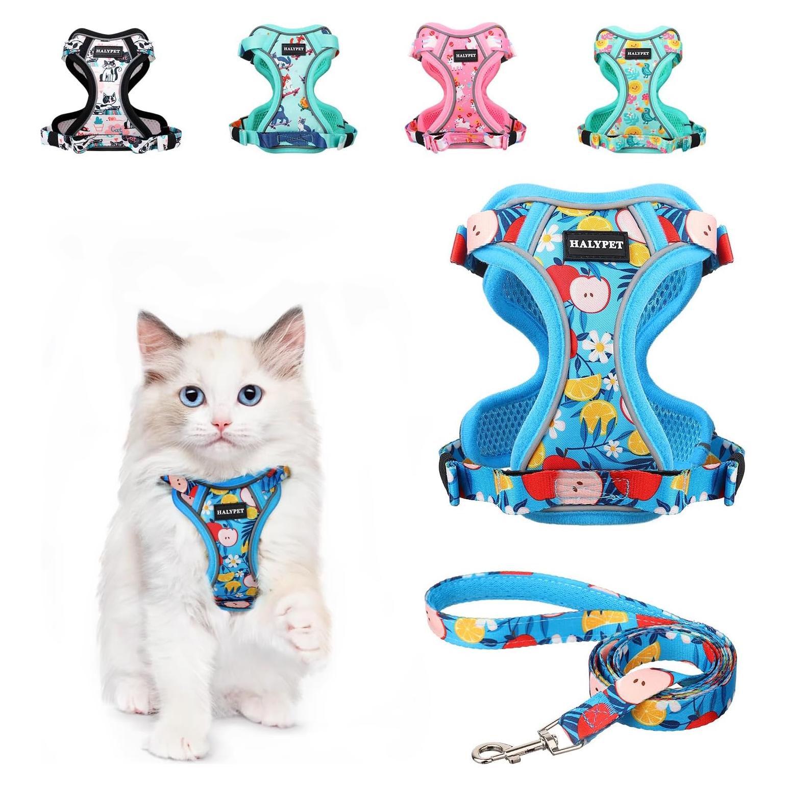 Conjunto Arnés y Correa Halypet XS Floral Azul para Gato
