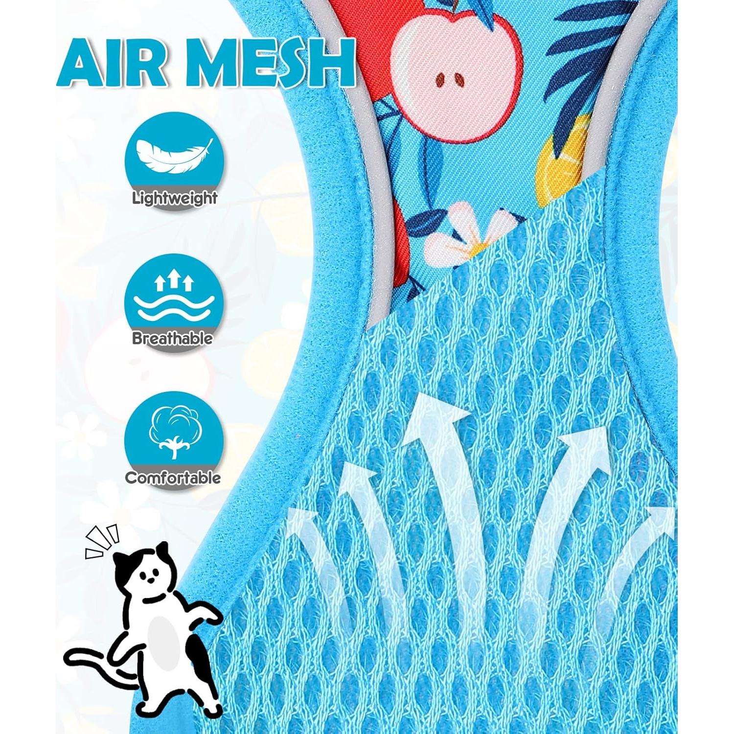 Conjunto Arnés y Correa Halypet XS Floral Azul para Gato