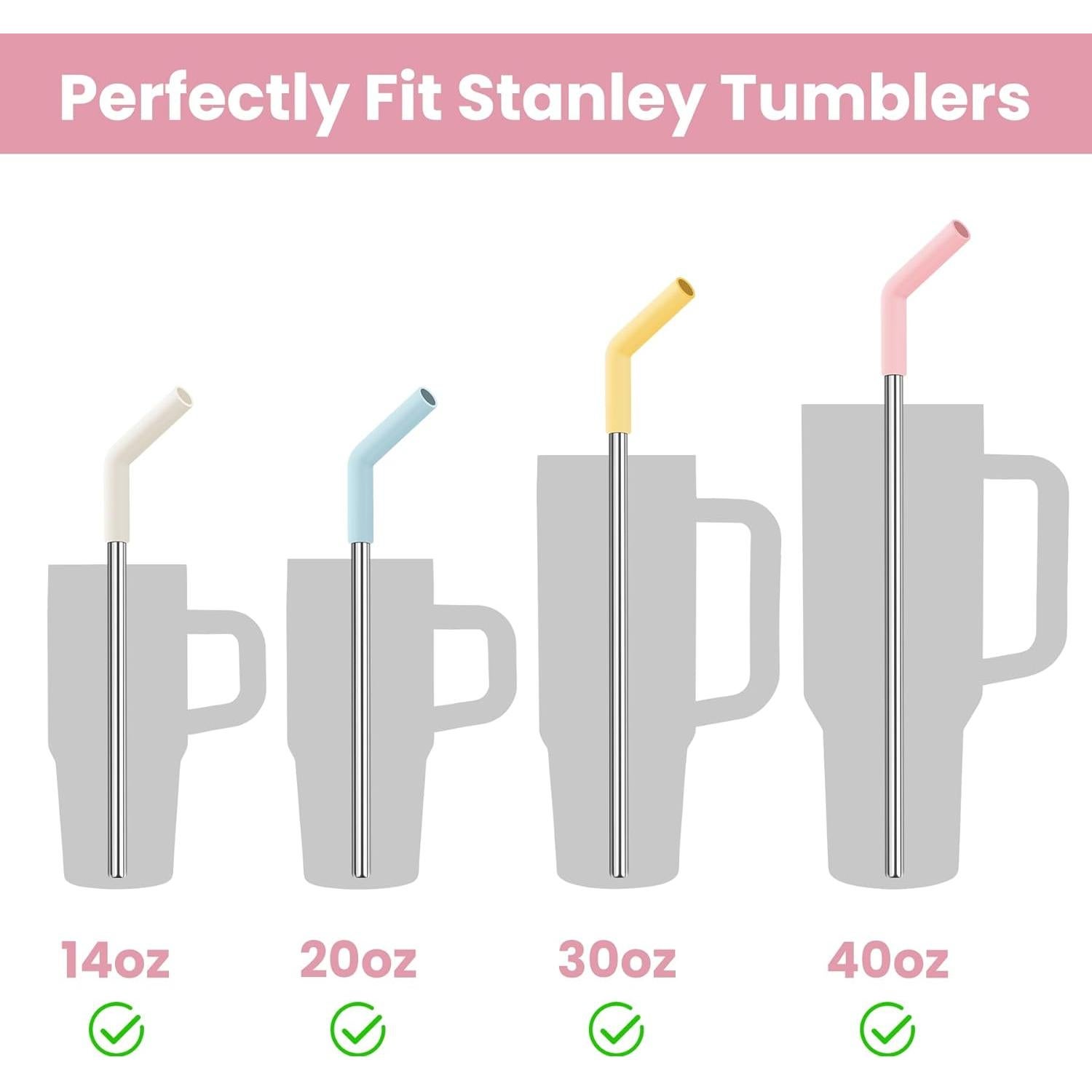 Pajitas Reutilizables Tomorotec de Acero Inoxidable 6-Pack