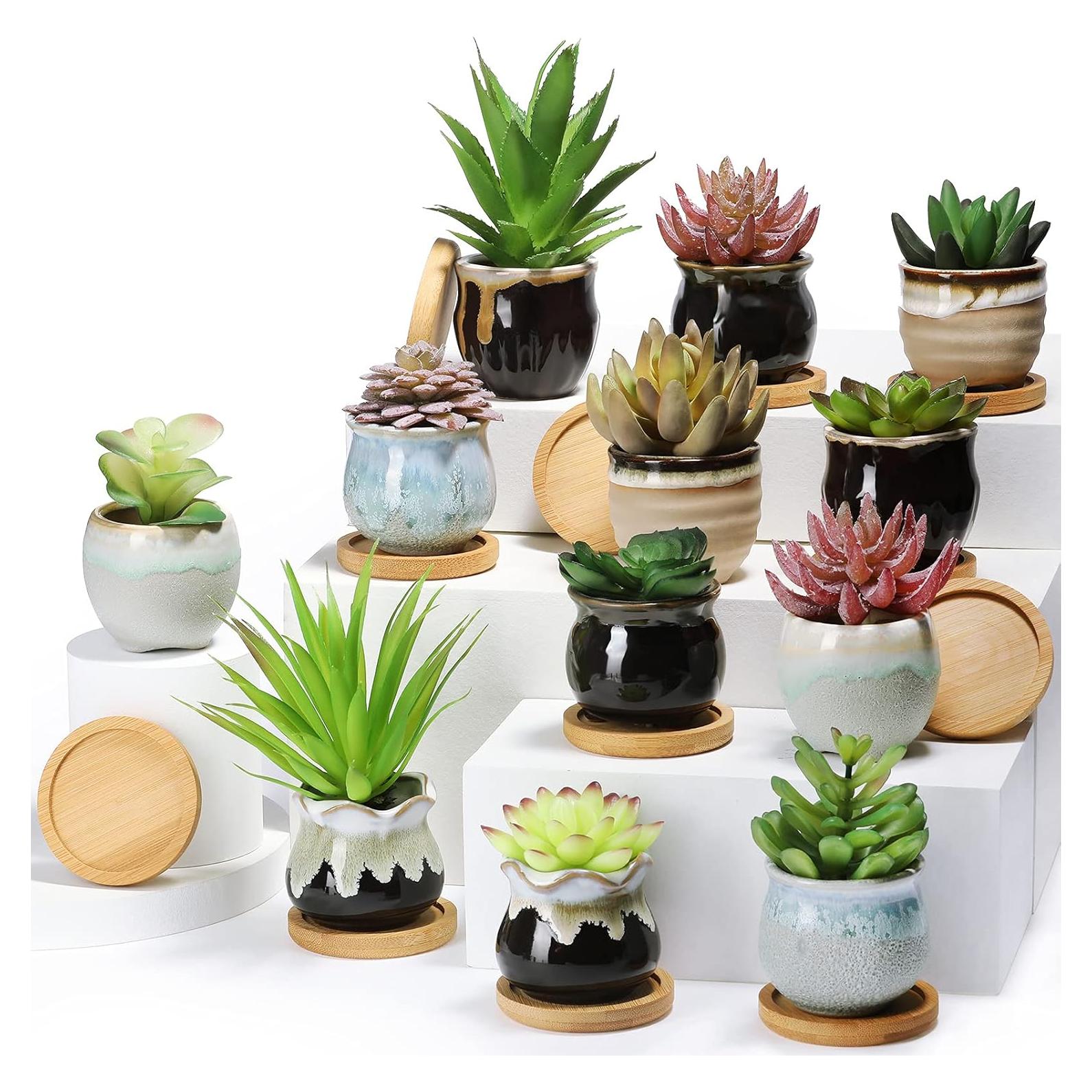 12 Macetas Cerámicas para Suculentas Remerry 2.5" con Drenaje