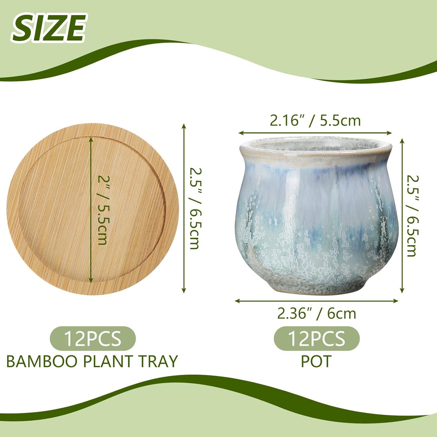 12 Macetas Cerámicas para Suculentas Remerry 2.5" con Drenaje