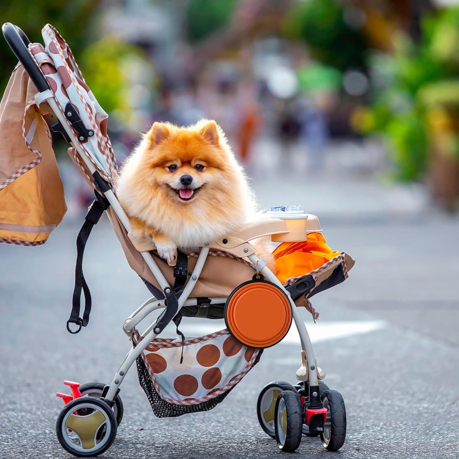 Paquete de 5 tazones colapsables Tekcoo para mascotas 355ml