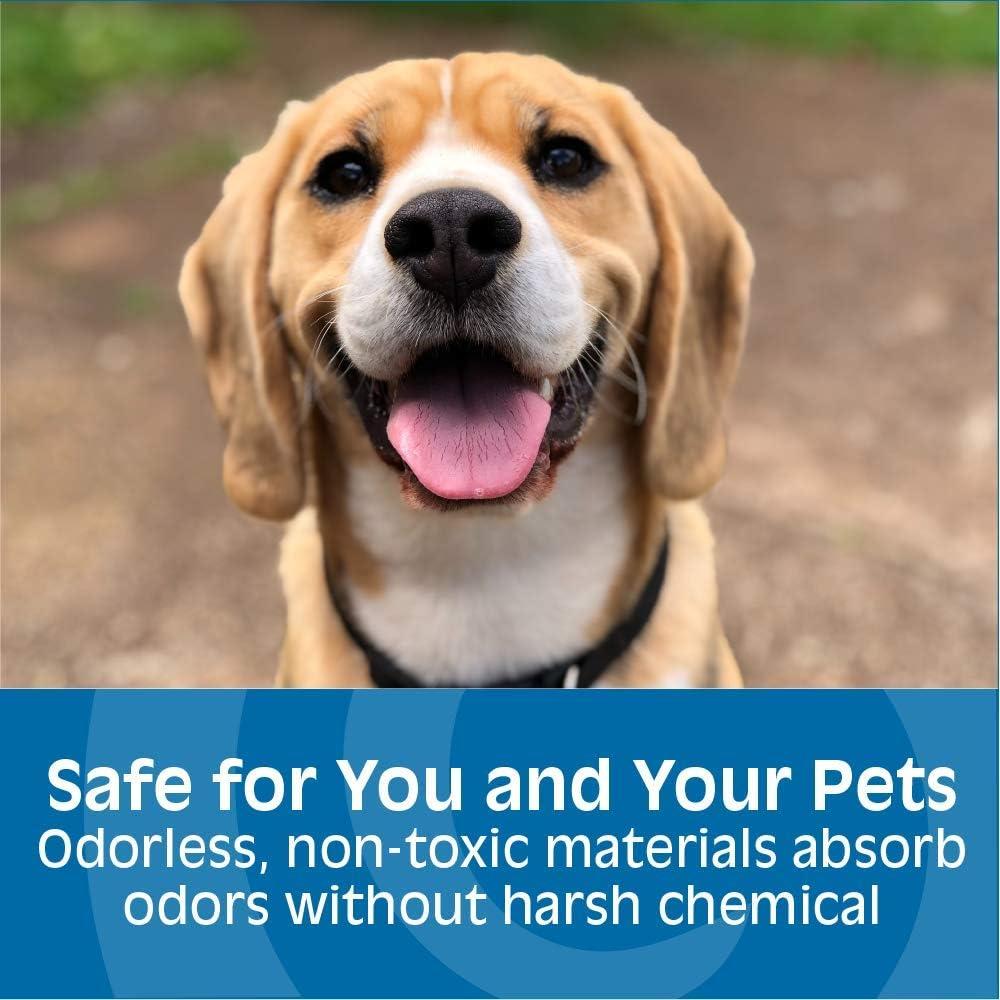 Eliminador de Olores Gonzo Natural Magic 907g - Sin Fragancia