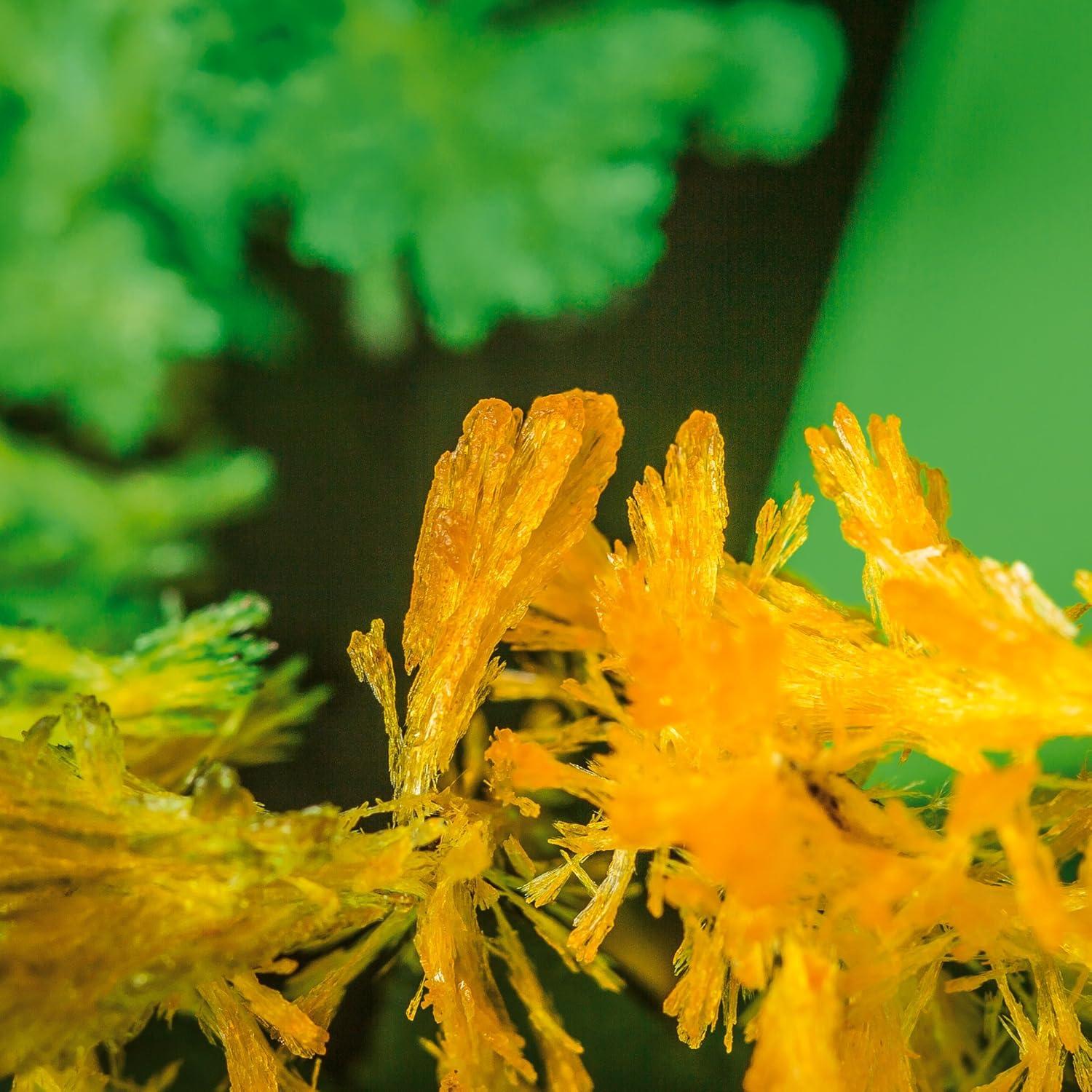 Kit Jardín Mágico Tobar 01918 - Crecimiento de Cristales