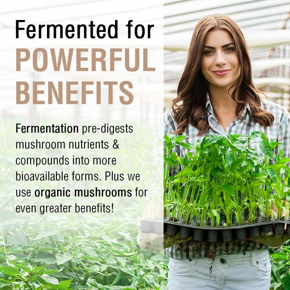 Suplemento Hongo Chaga Fermentado Solaray 500 mg - 60 VegCaps