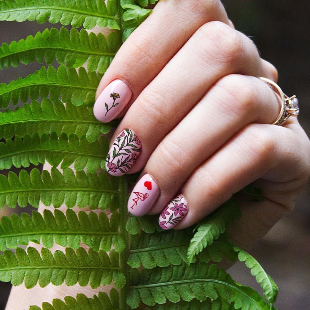 Kit de Estampado de Uñas PH PandaHall 3 Placas Acero Inoxidable