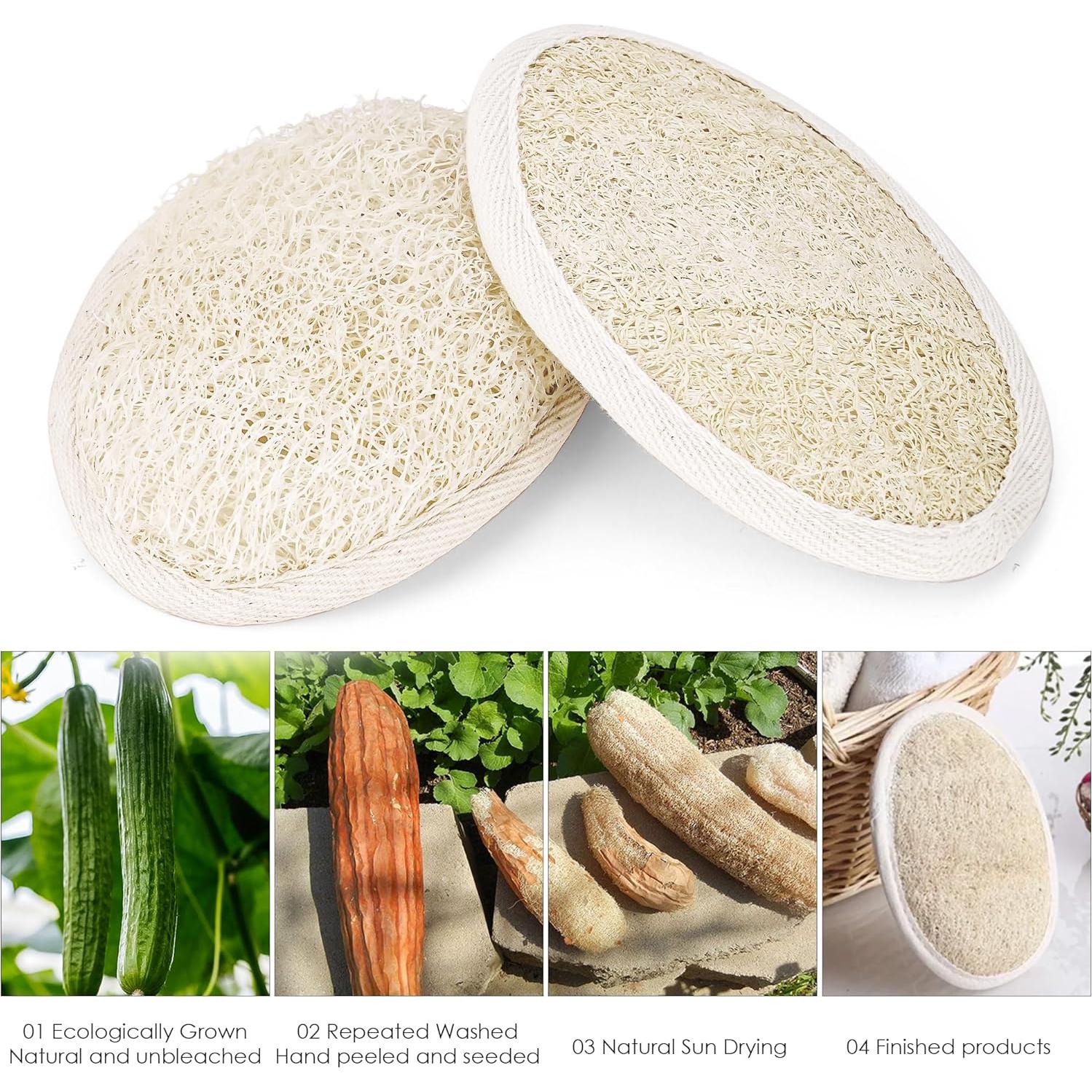 Esponja de Lufa Natural Exfoliante Treeswin - 2 Piezas