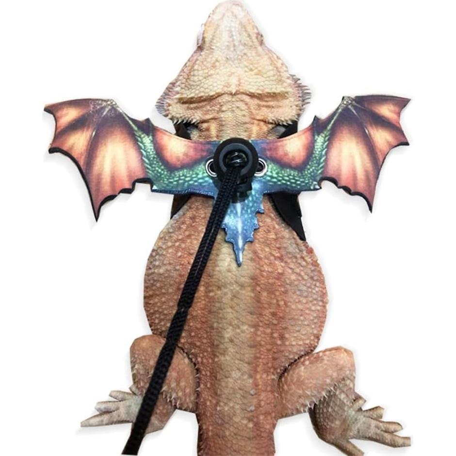 Correa Ajustable para Reptiles MiOYOOW - Dragón Barbudo, Gecko, Iguana