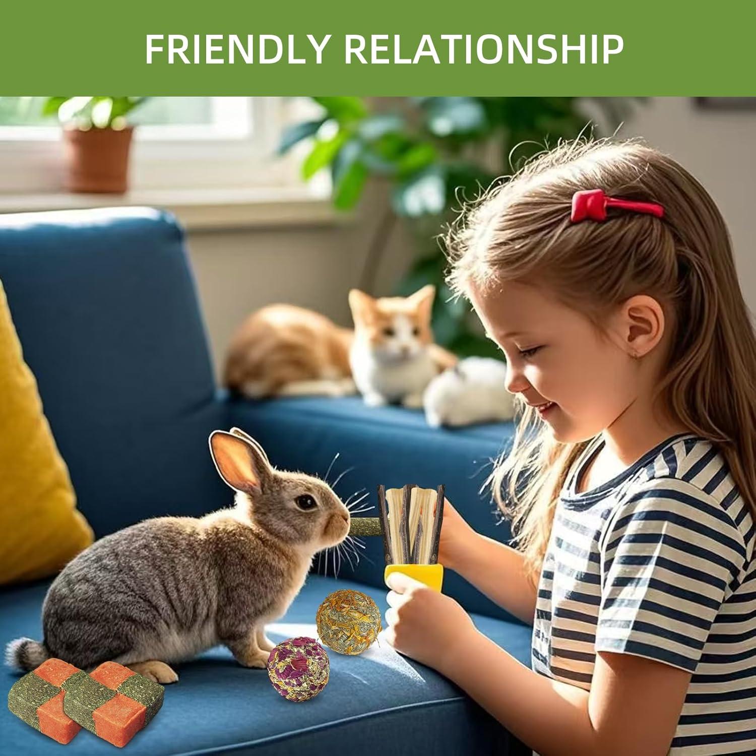 Juguetes para Conejos y Chinchillas Tyotrbs 50-60 Pcs