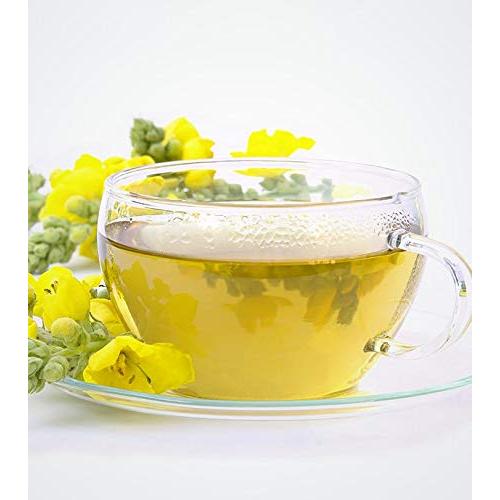 50 Bolsas de Té de Mullein VitalForest - Detox Pulmones 3g