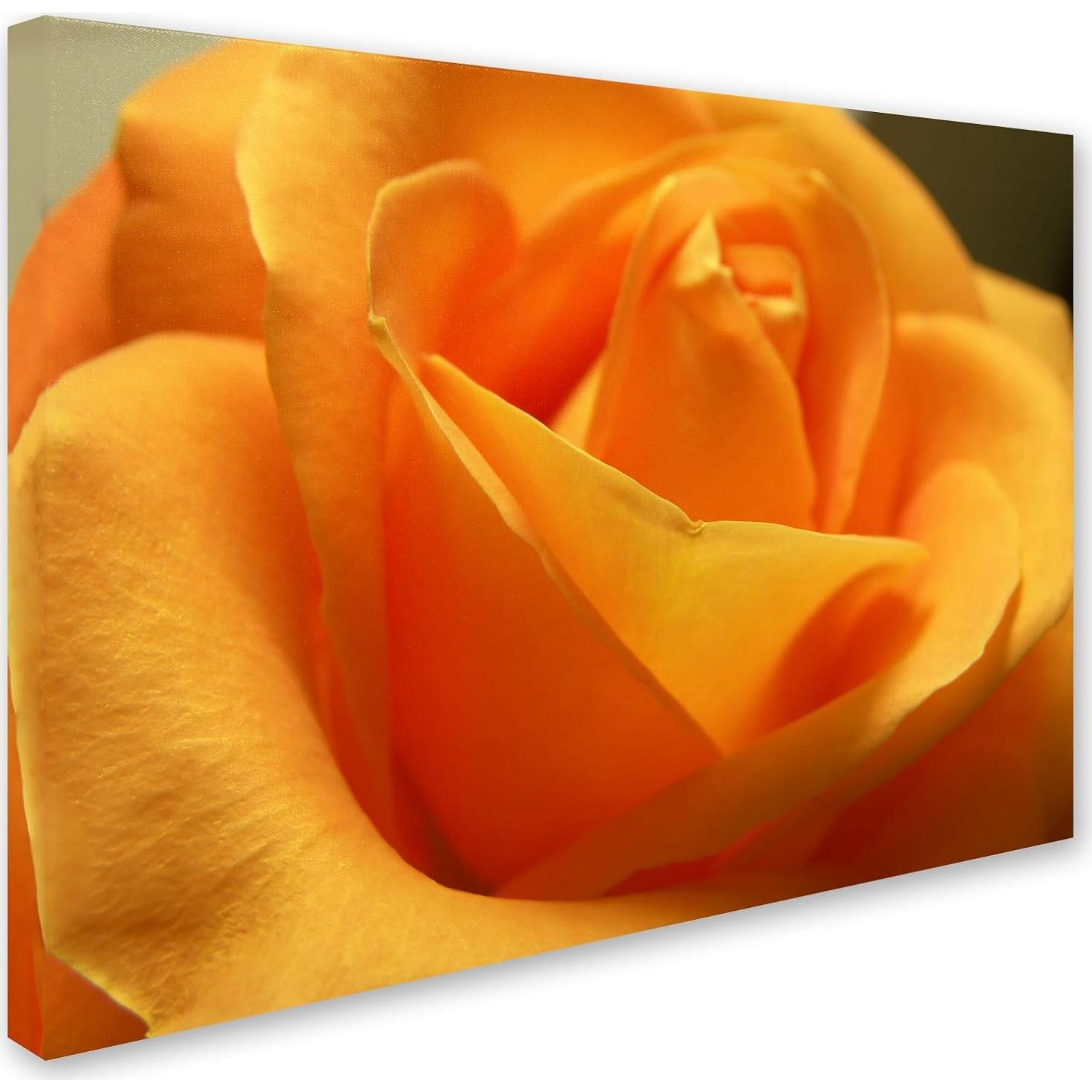 Obra de arte en lienzo floral Monica Fleet 35.6x48.3 cm