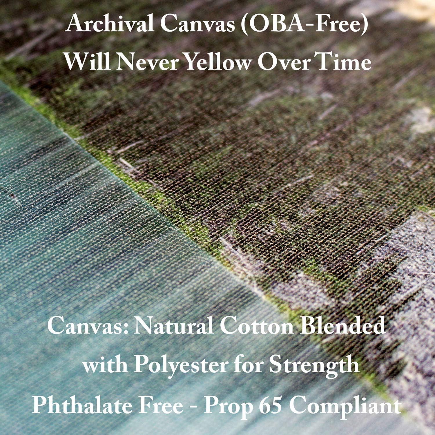 Obra de arte en lienzo floral Monica Fleet 35.6x48.3 cm