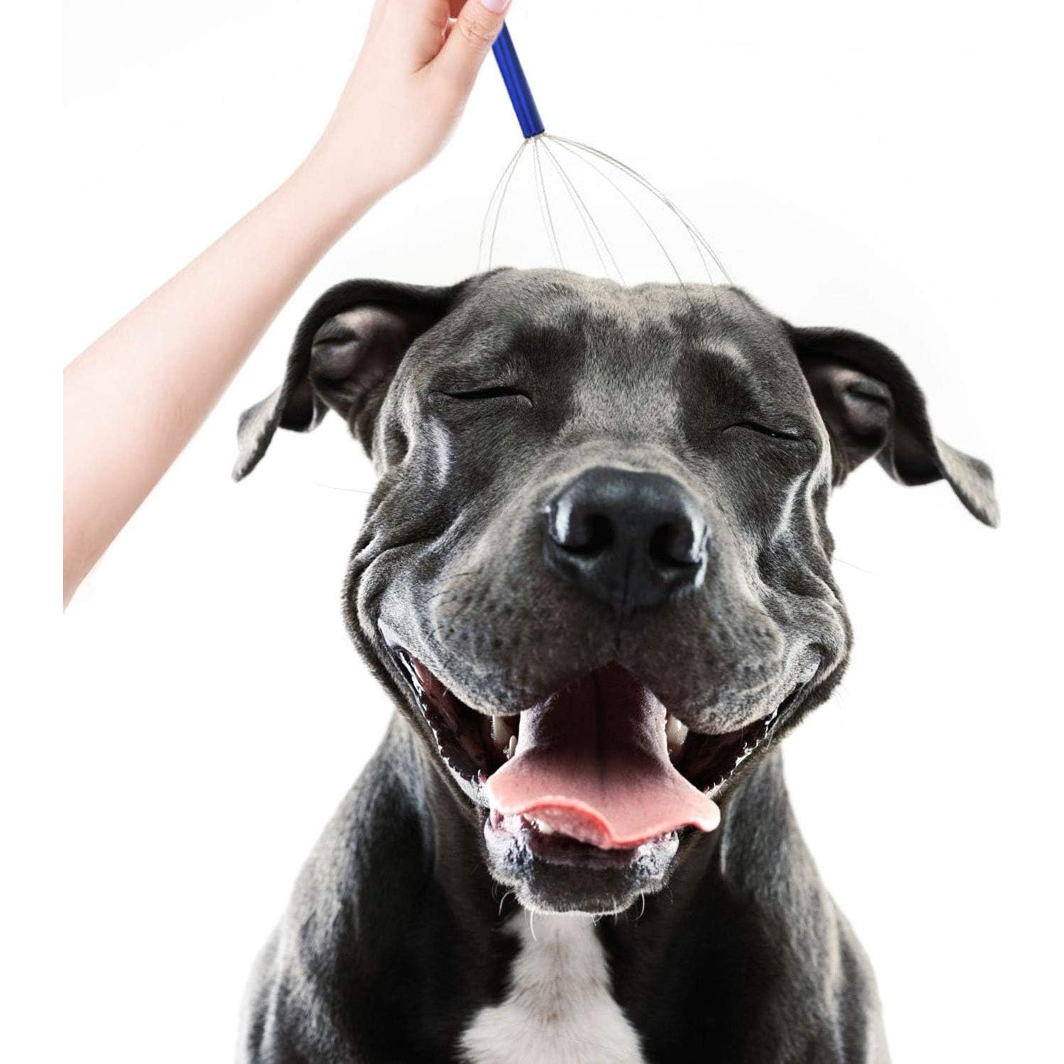 Masajeador de Cuero Cabelludo HOFASON 4pcs para Regalo