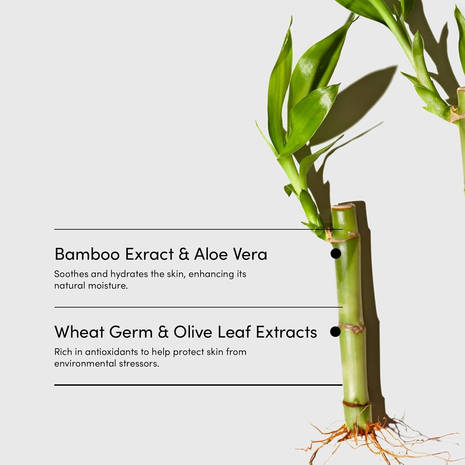 Gel de Ducha LATHER Crema de Bambú 236.6 ml - Vegano