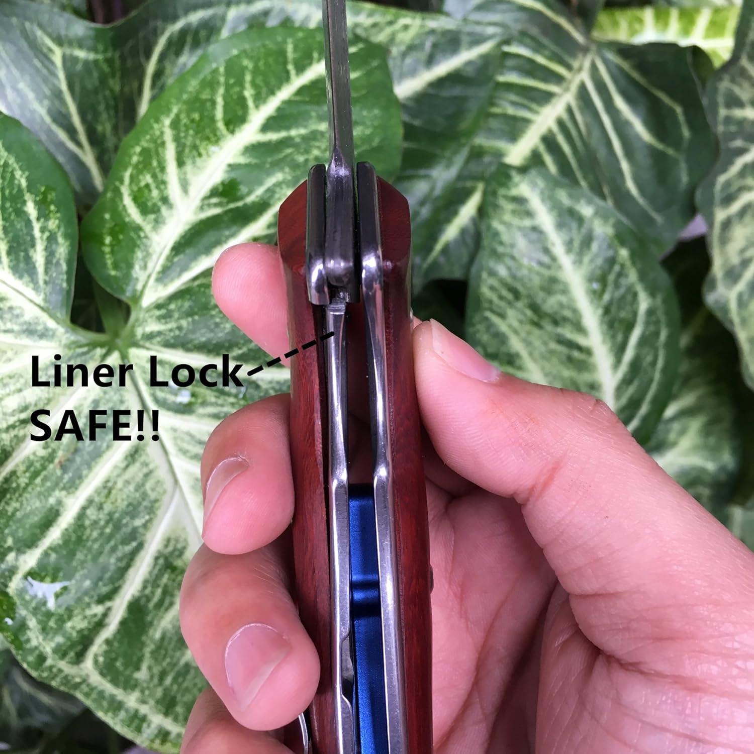 Cuchillo Plegable ALBATROSS HGDK001 Damasco 90 mm Mango Cocobolo