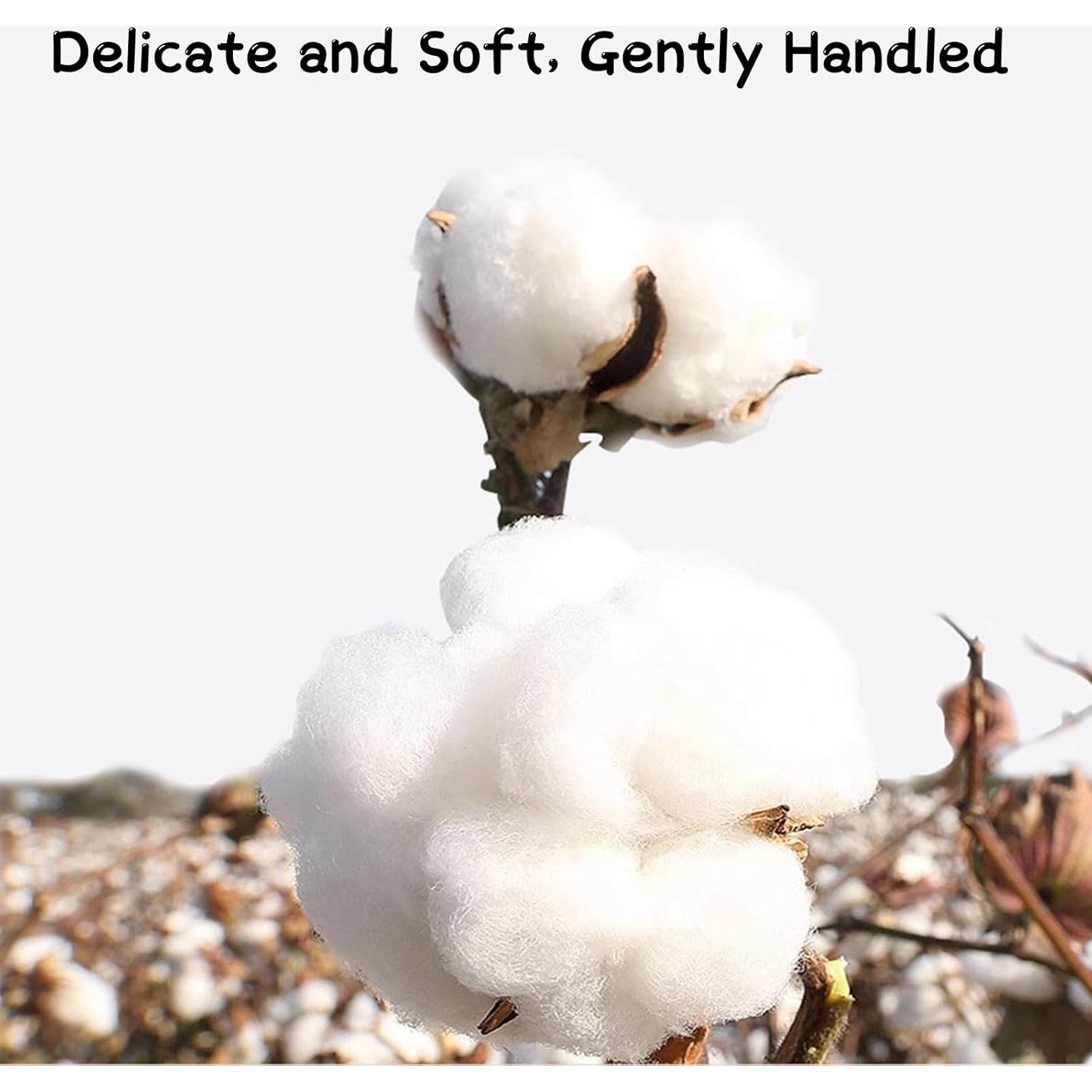 Hisopos de Algodón Biodegradables SUIZWMOU 160pcs para Bebés