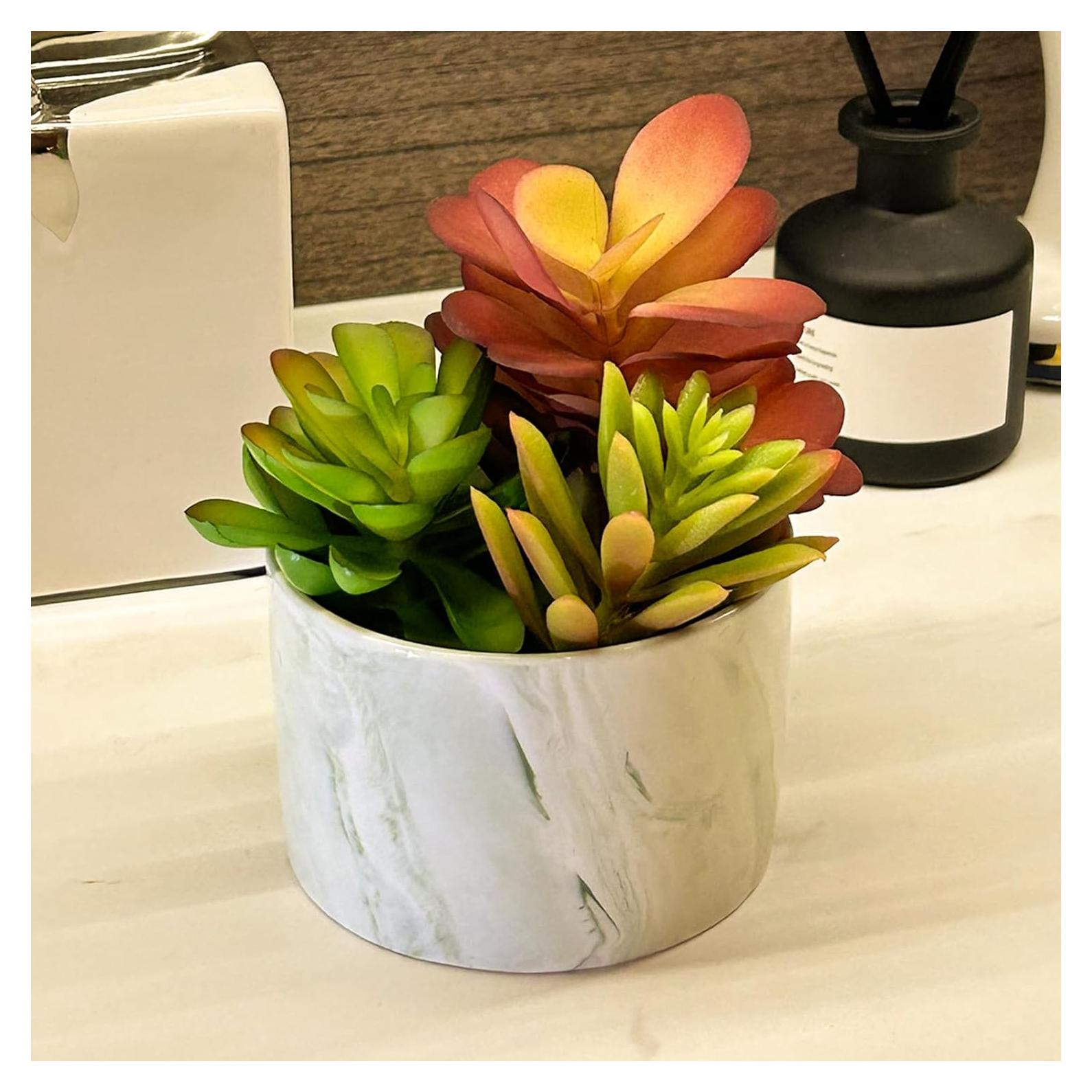 Plantas Artificiales Suculentas Coloridas Karlliu en Maceta Cerámica