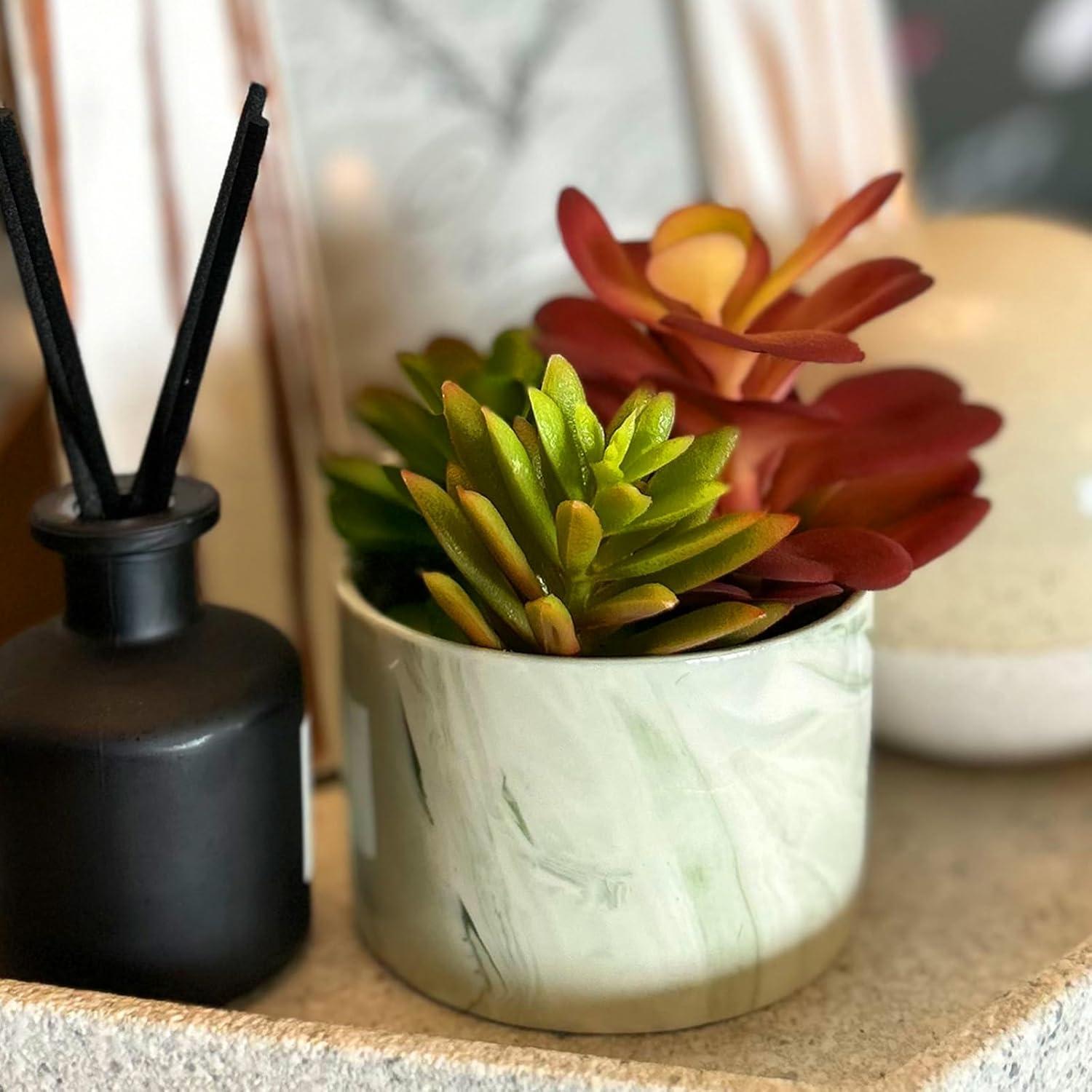 Plantas Artificiales Suculentas Coloridas Karlliu en Maceta Cerámica