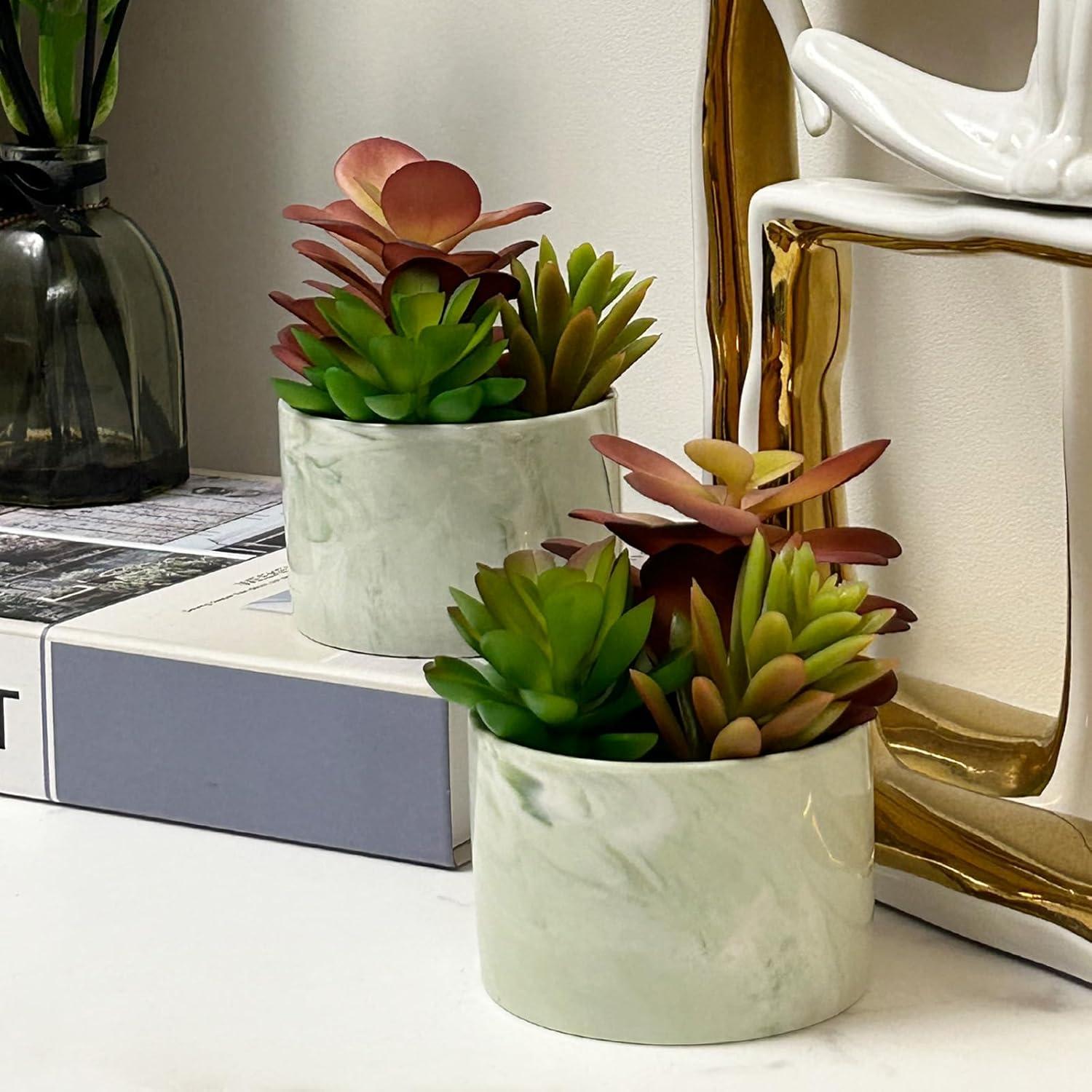 Plantas Artificiales Suculentas Coloridas Karlliu en Maceta Cerámica