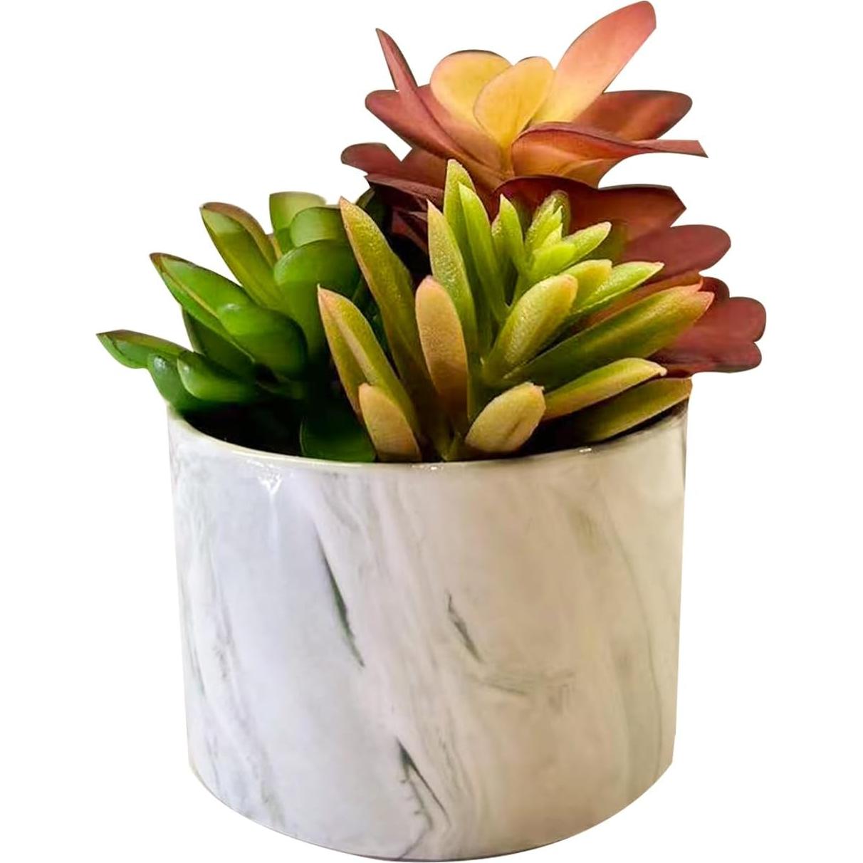 Plantas Artificiales Suculentas Coloridas Karlliu en Maceta Cerámica