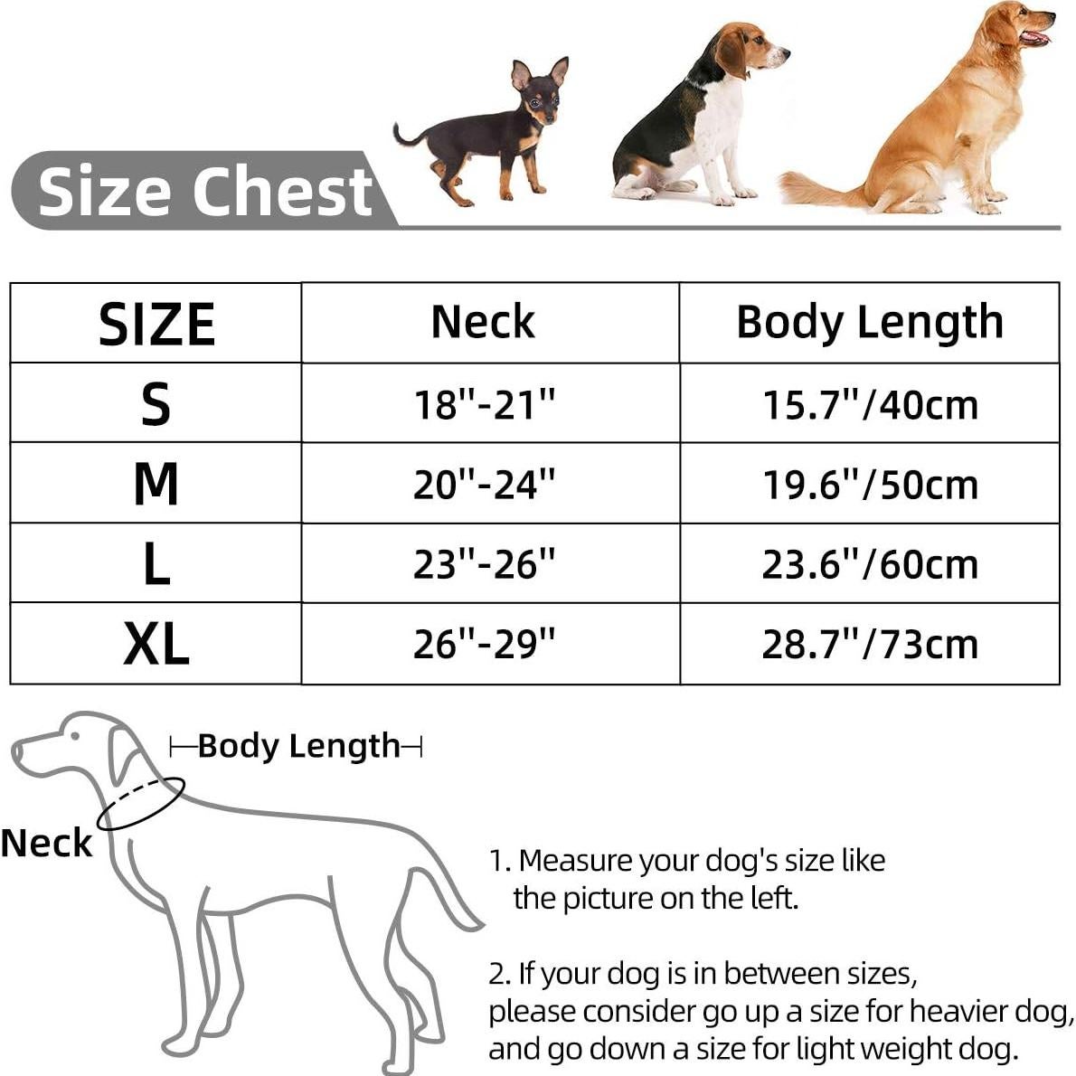 Toalla de baño para perros DogLemi S Gris microfibra absorbente